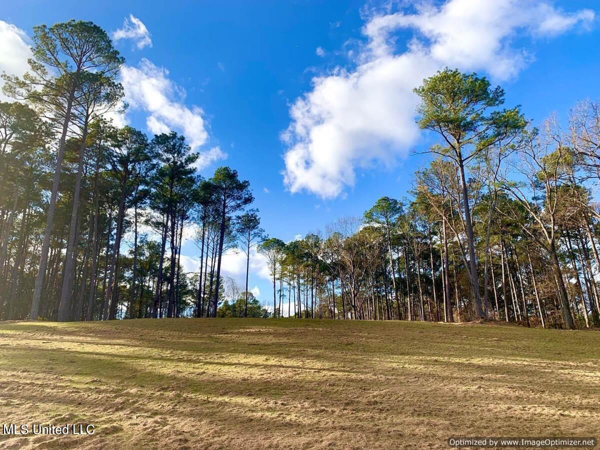 107 Calliope Park, Canton, Mississippi image 13