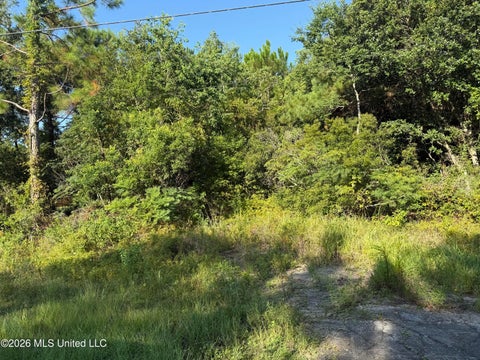 Vacant Land For Sale - 5187 Forest Avenue<br/> Bay Saint Louis, MS 39520