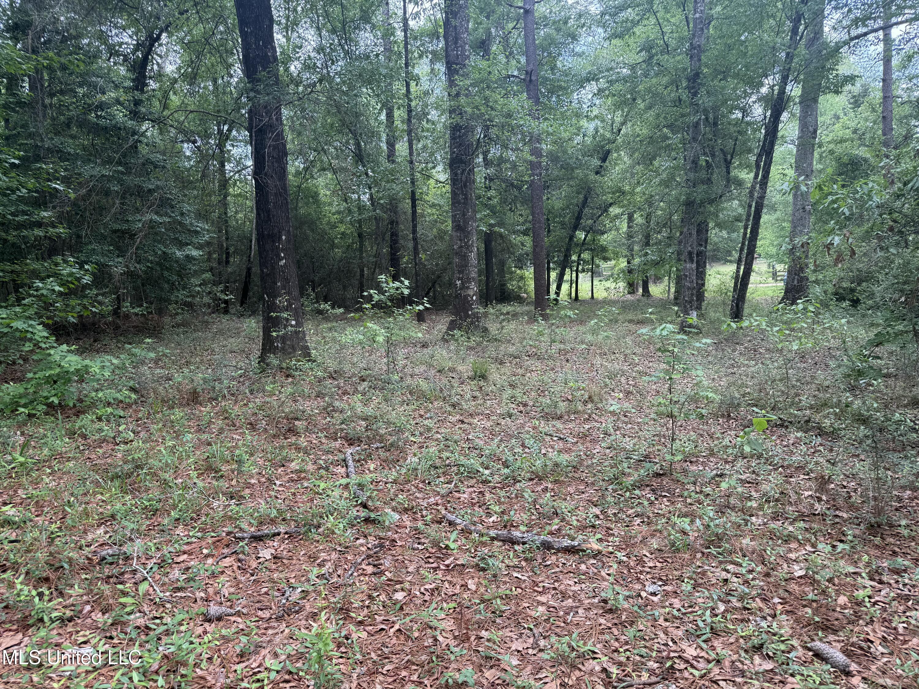 20512 Gunlock Road, Saucier, Mississippi image 7