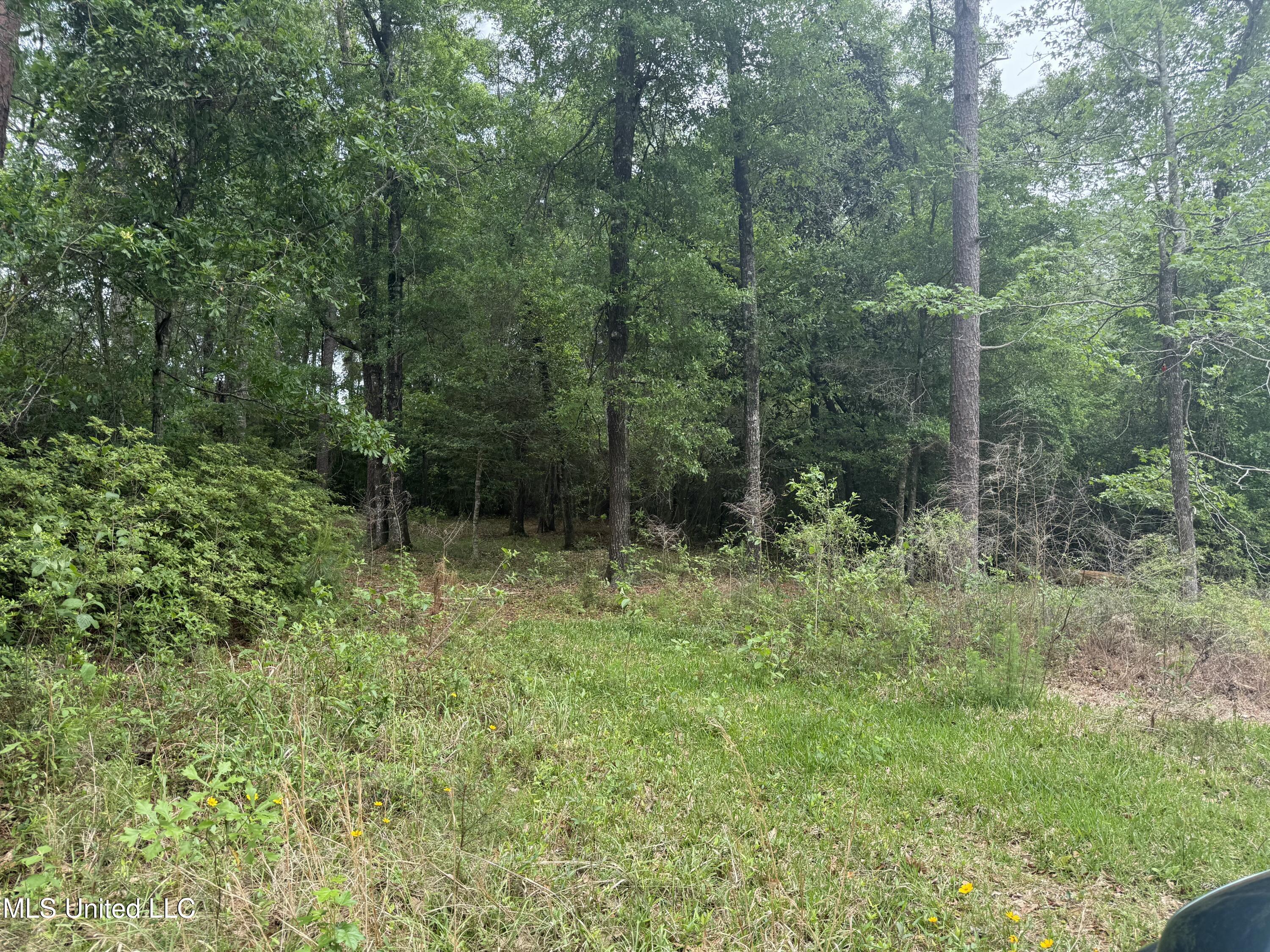 20512 Gunlock Road, Saucier, Mississippi image 3