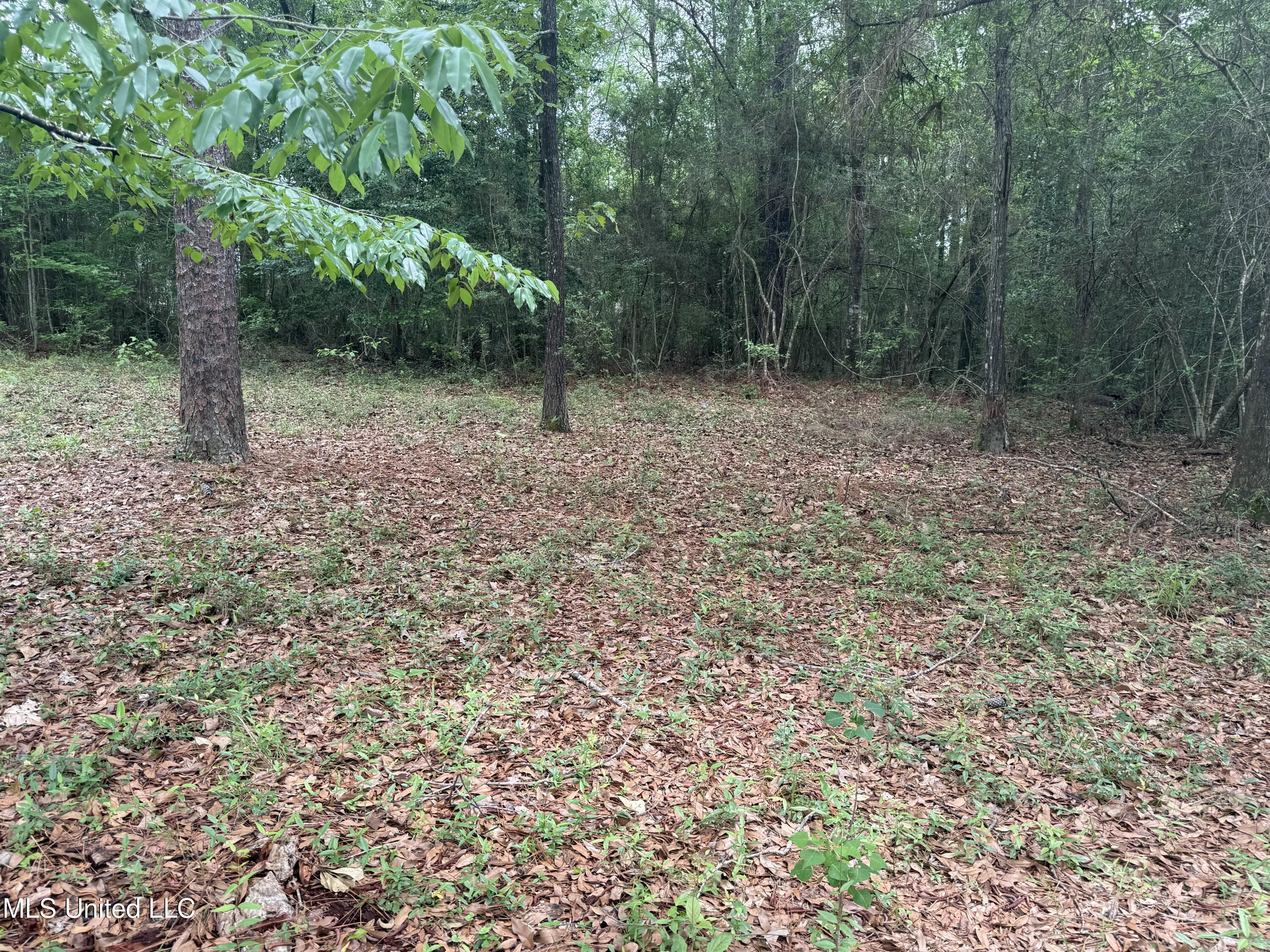 20512 Gunlock Road, Saucier, Mississippi image 5