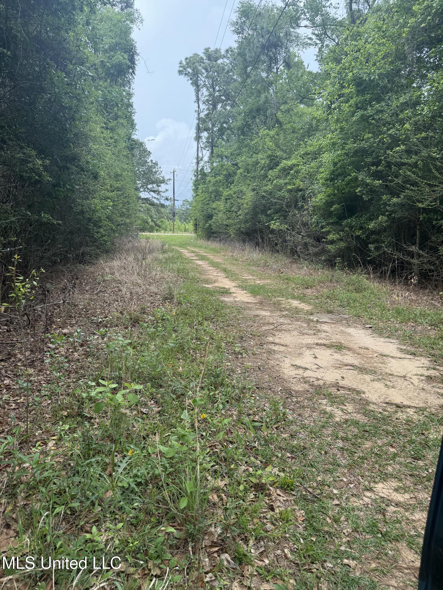 20512 Gunlock Road, Saucier, Mississippi image 2
