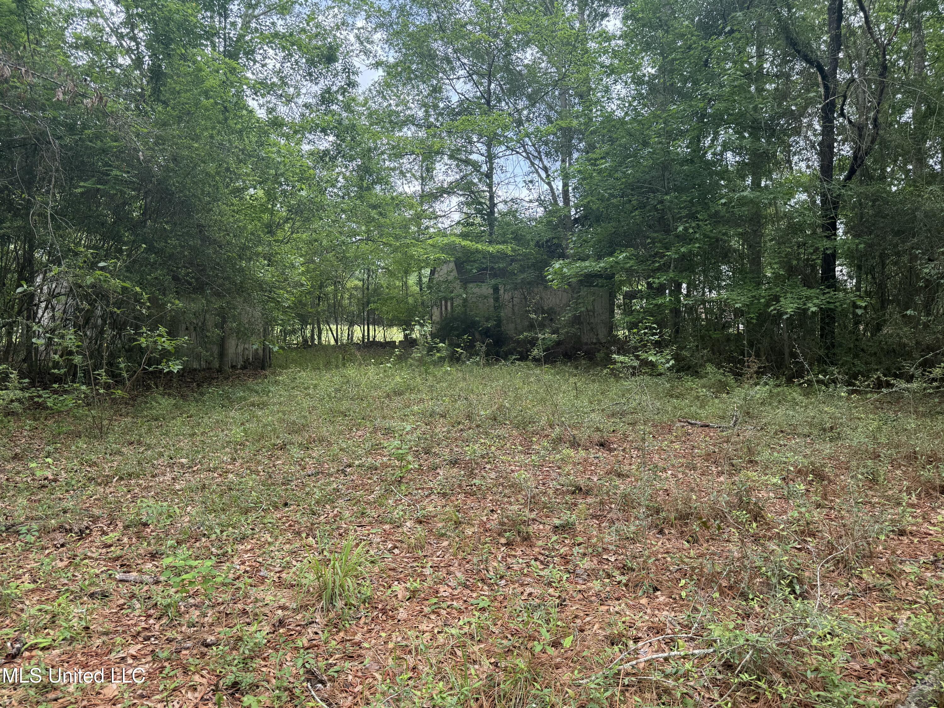 20512 Gunlock Road, Saucier, Mississippi image 6