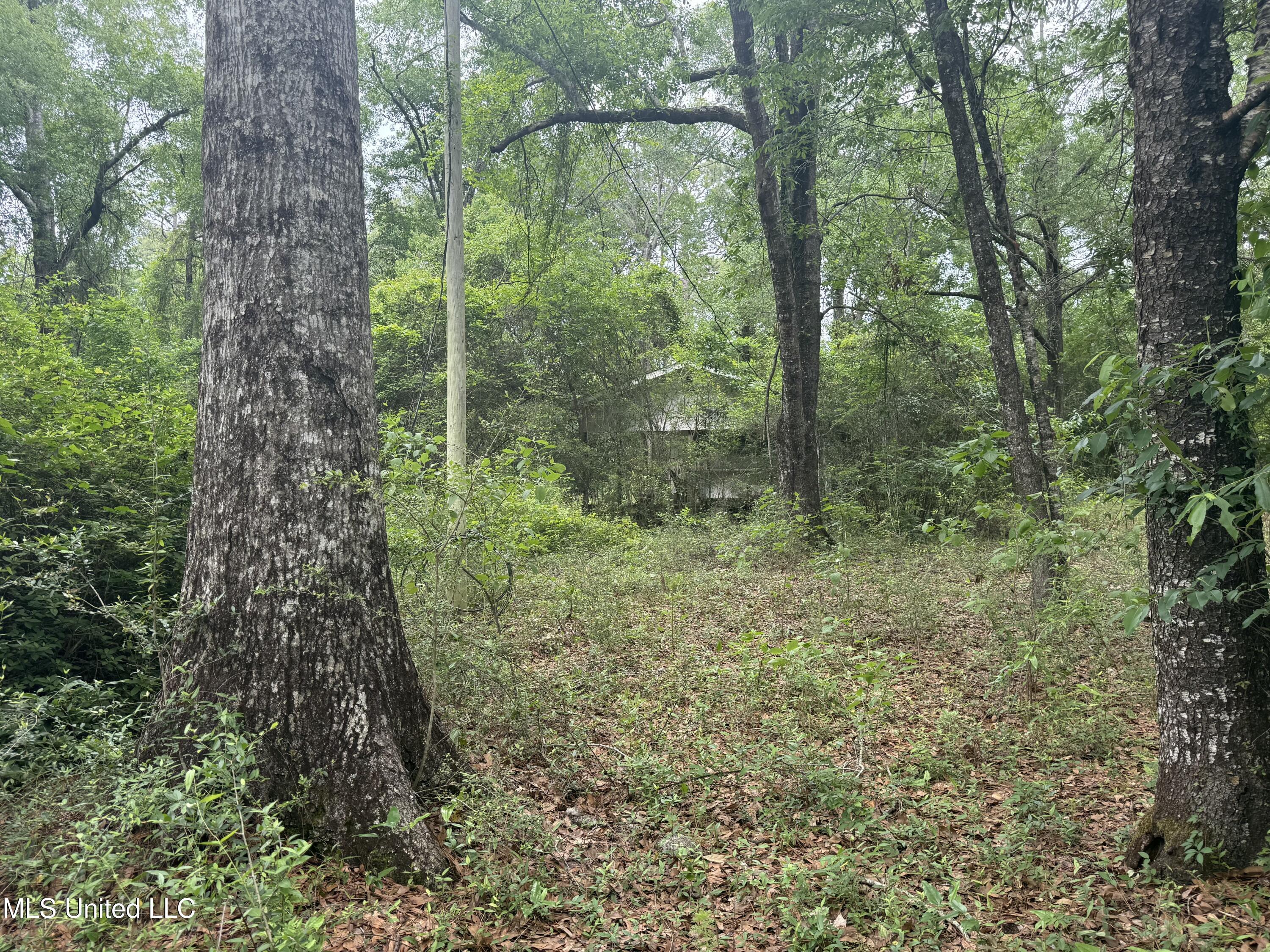 20512 Gunlock Road, Saucier, Mississippi image 4