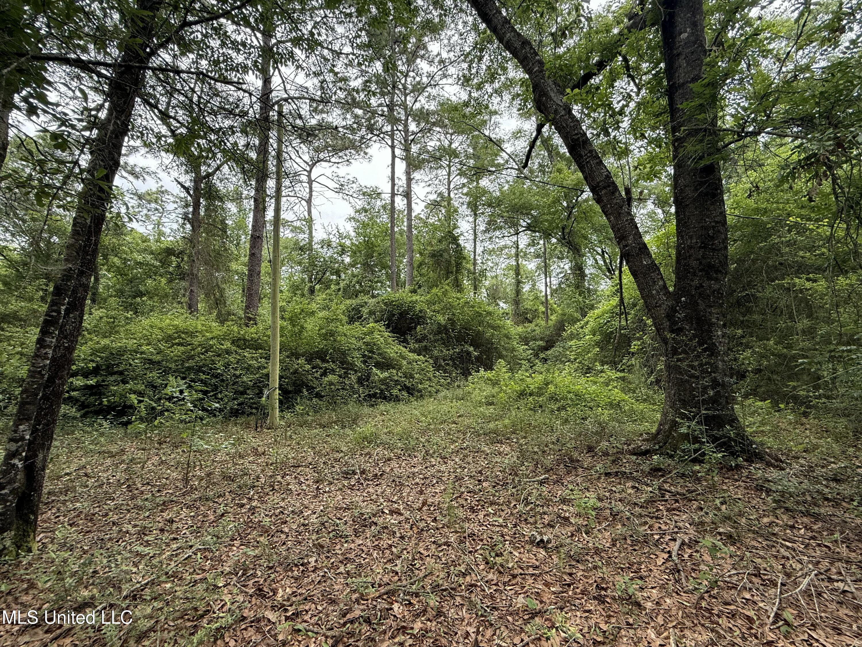 20512 Gunlock Road, Saucier, Mississippi image 1