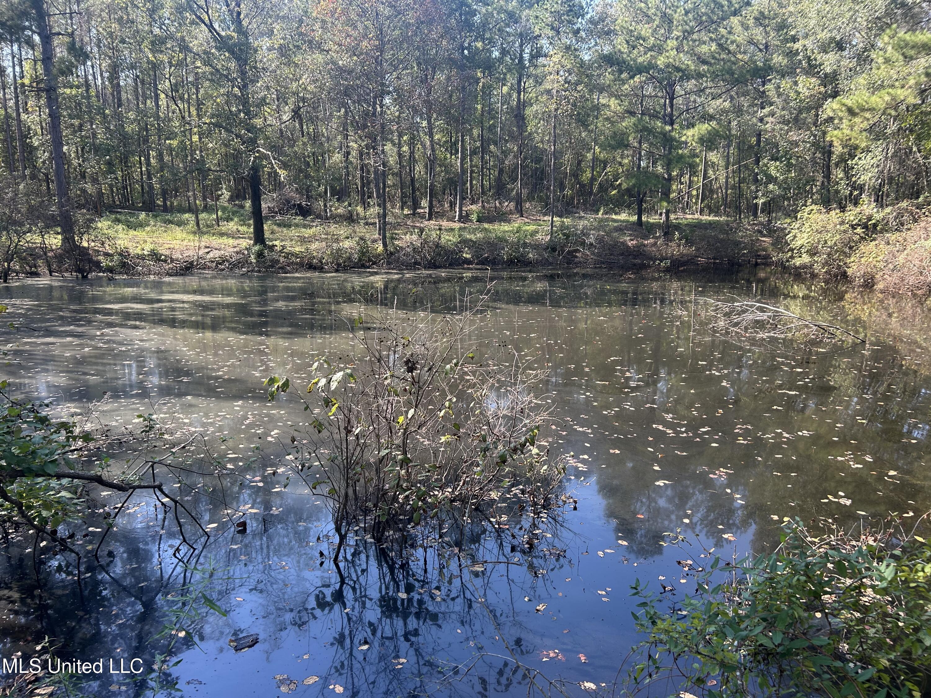 Rails Road, Georgetown, Mississippi image 8