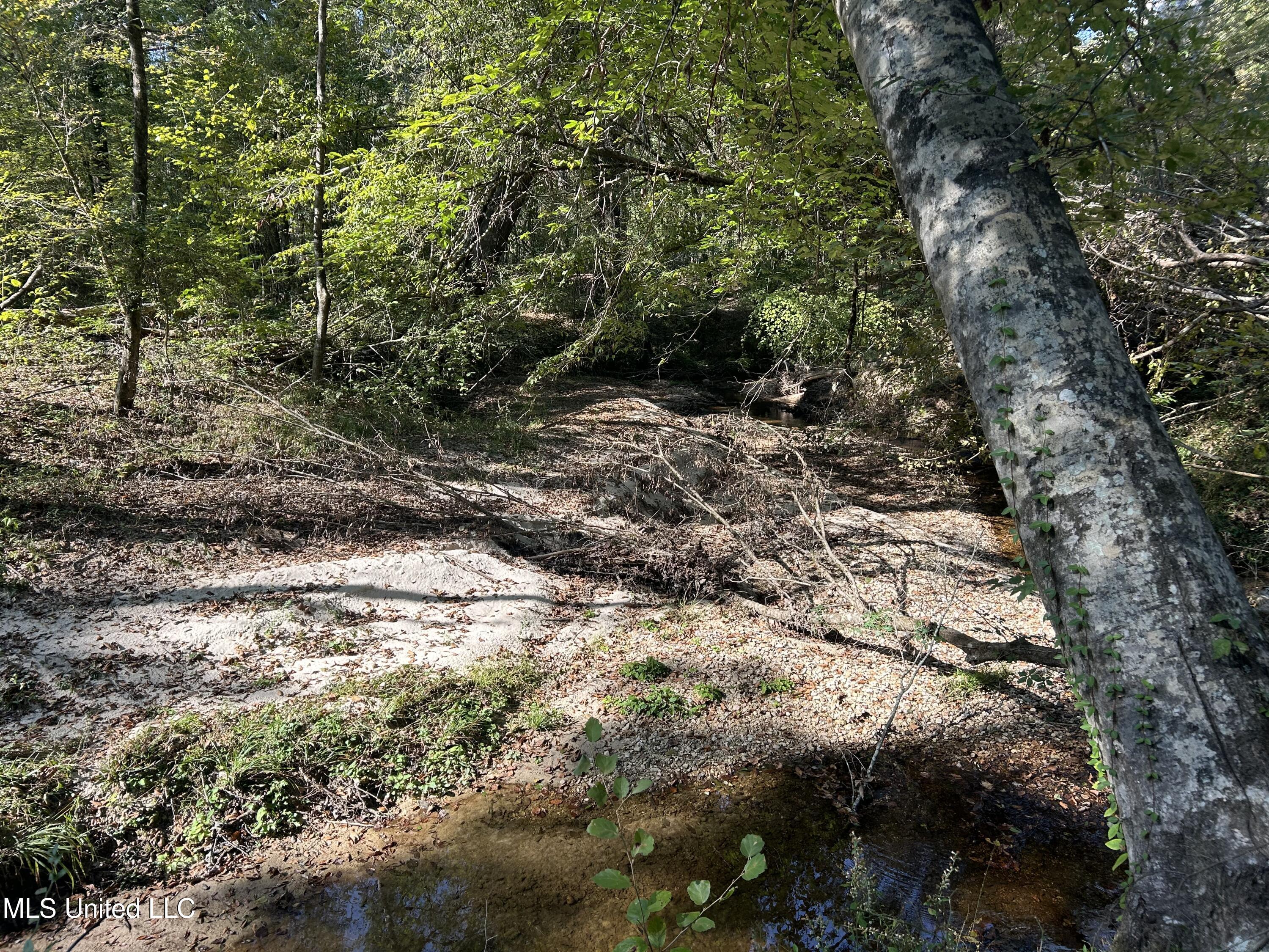 Rails Road, Georgetown, Mississippi image 6