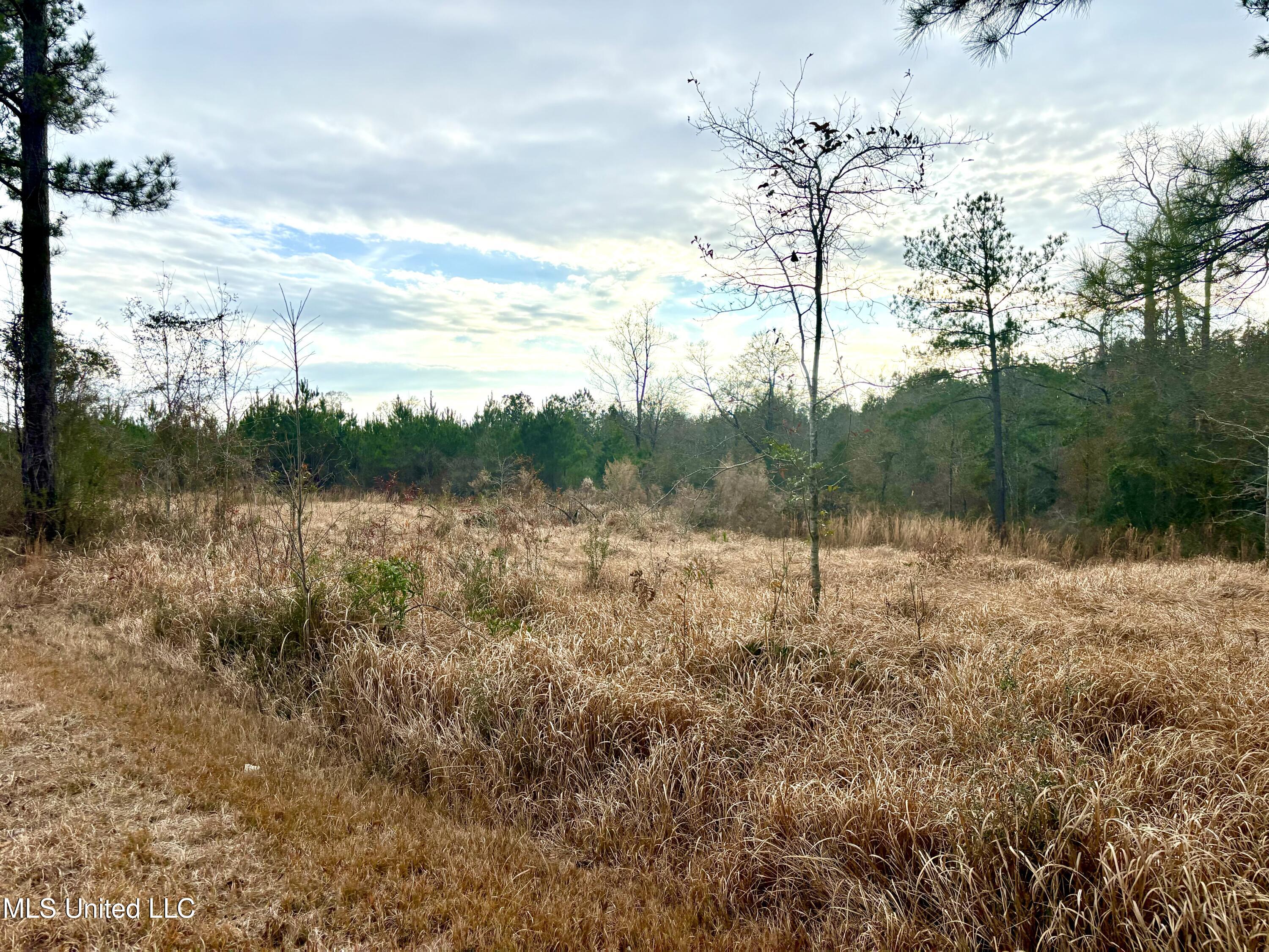 Robert Rhodes Road, Poplarville, Mississippi image 1