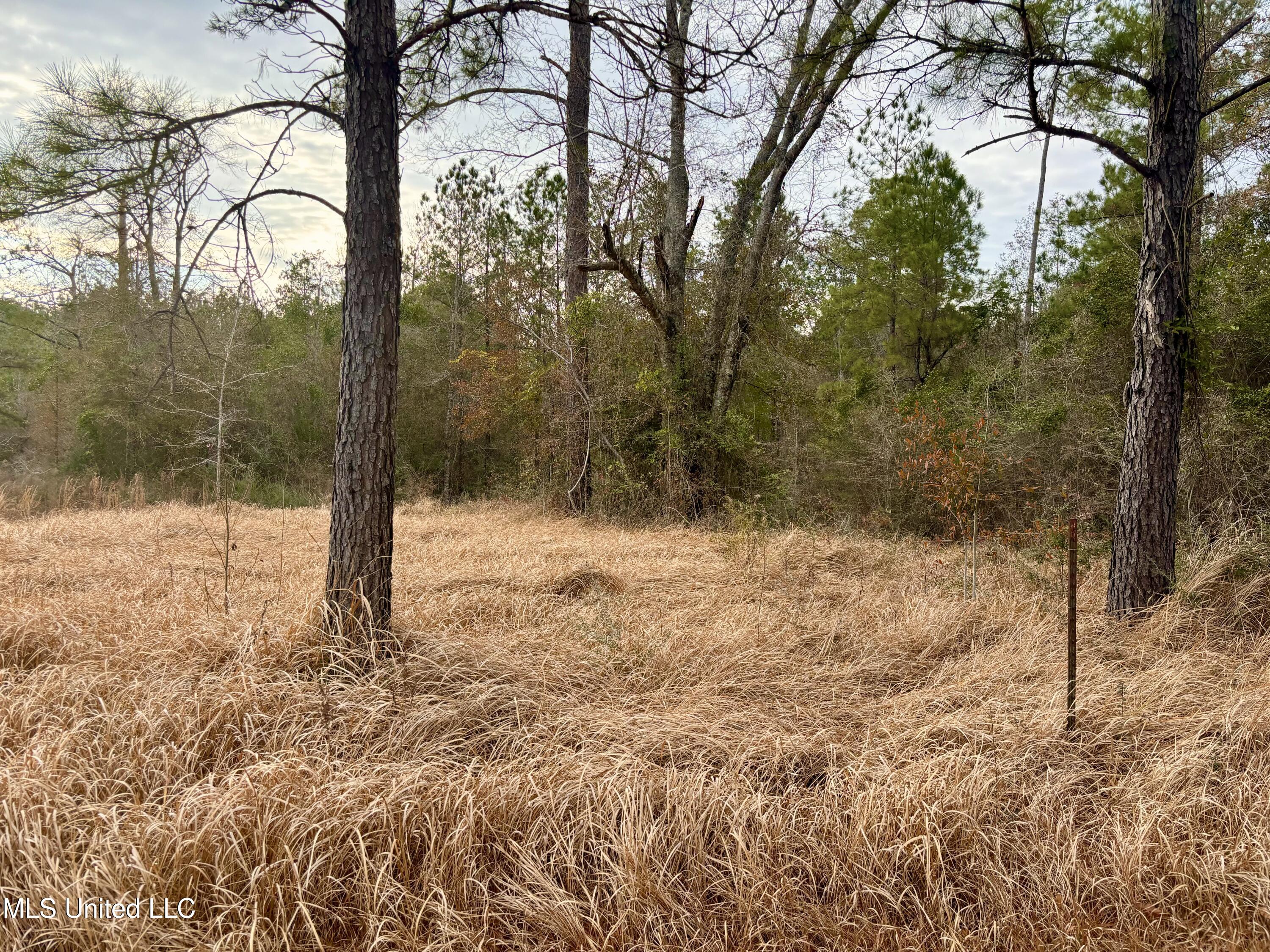 Robert Rhodes Road, Poplarville, Mississippi image 3