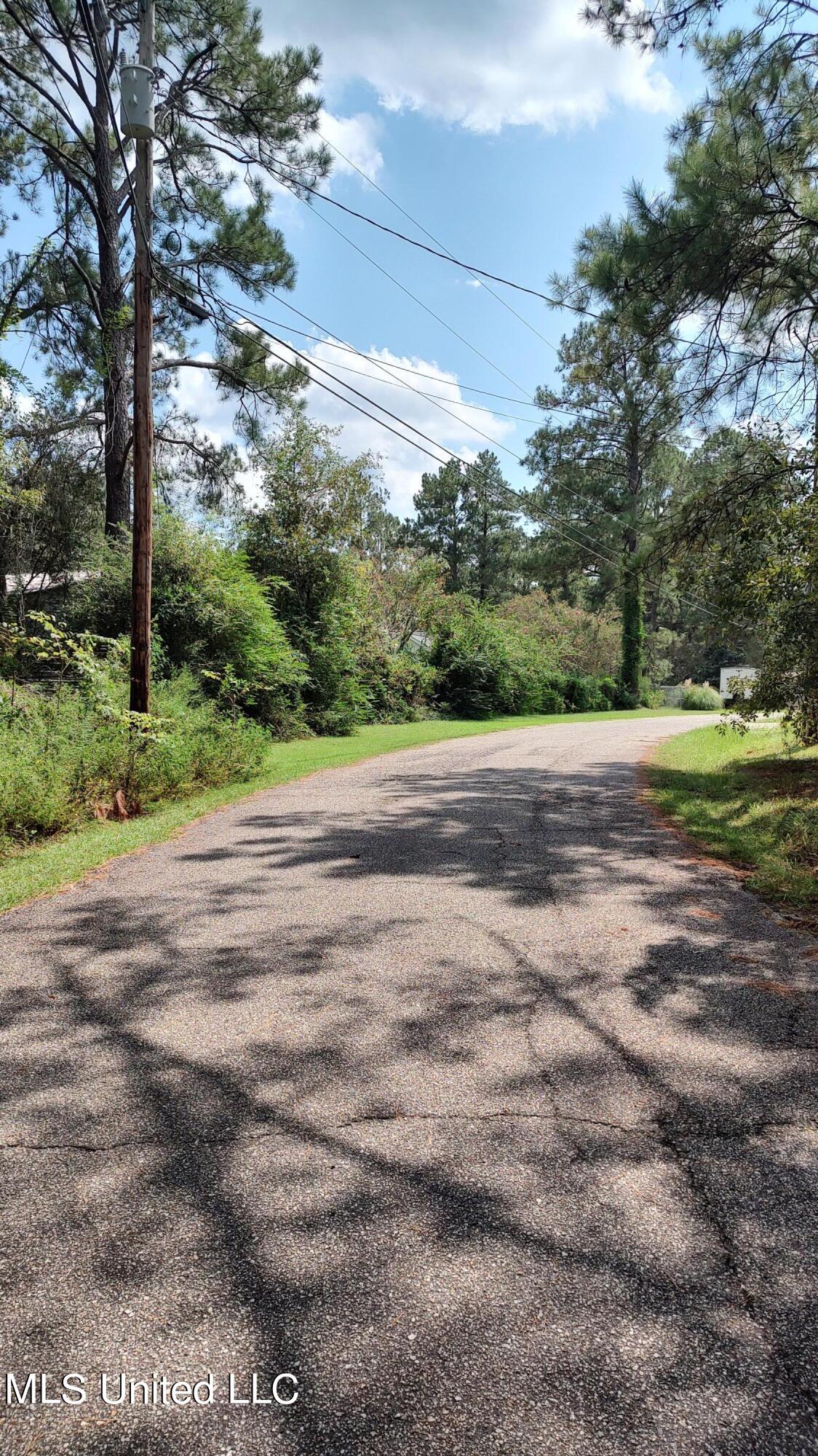 Covered Bridge Road, Carriere, Mississippi image 6