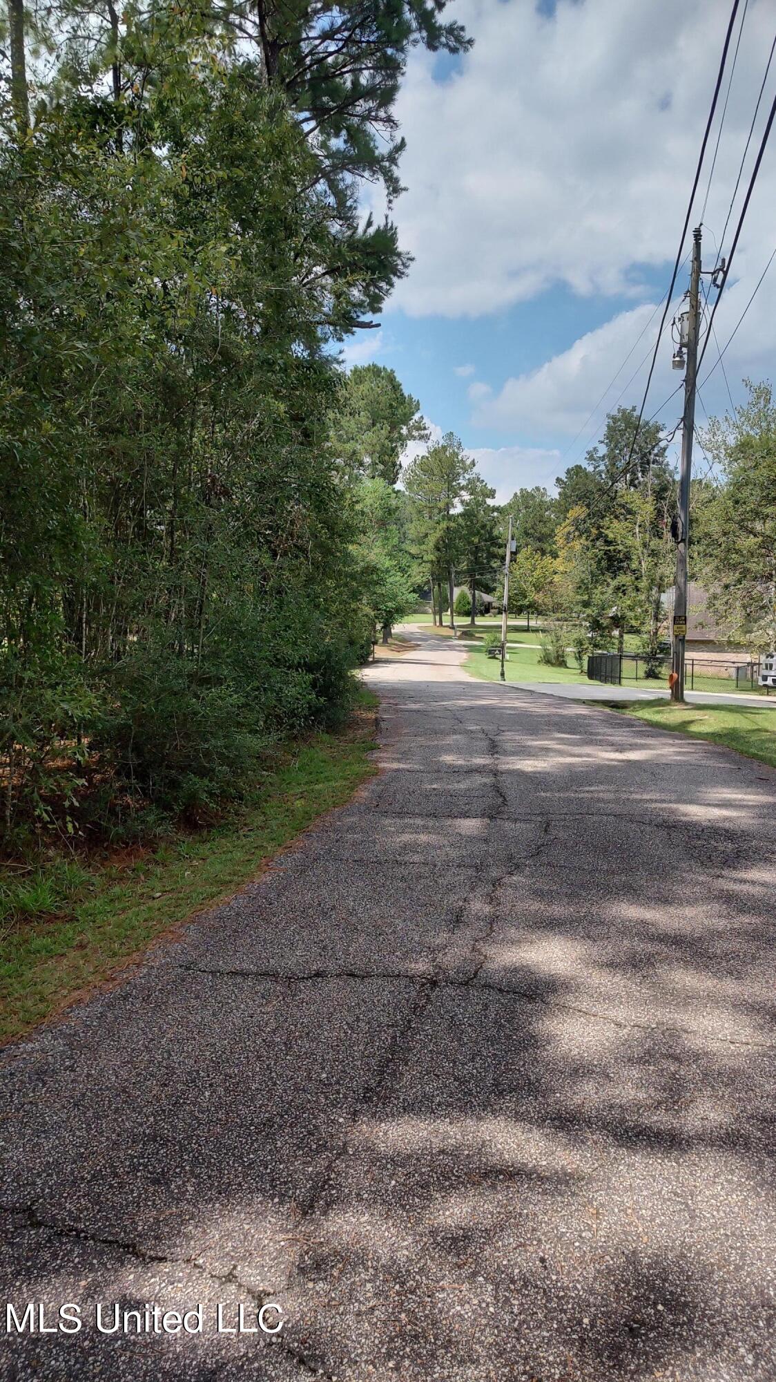 Covered Bridge Road, Carriere, Mississippi image 4