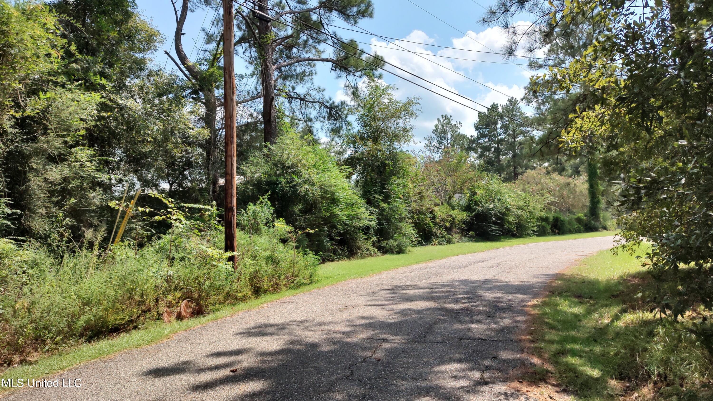 Covered Bridge Road, Carriere, Mississippi image 2