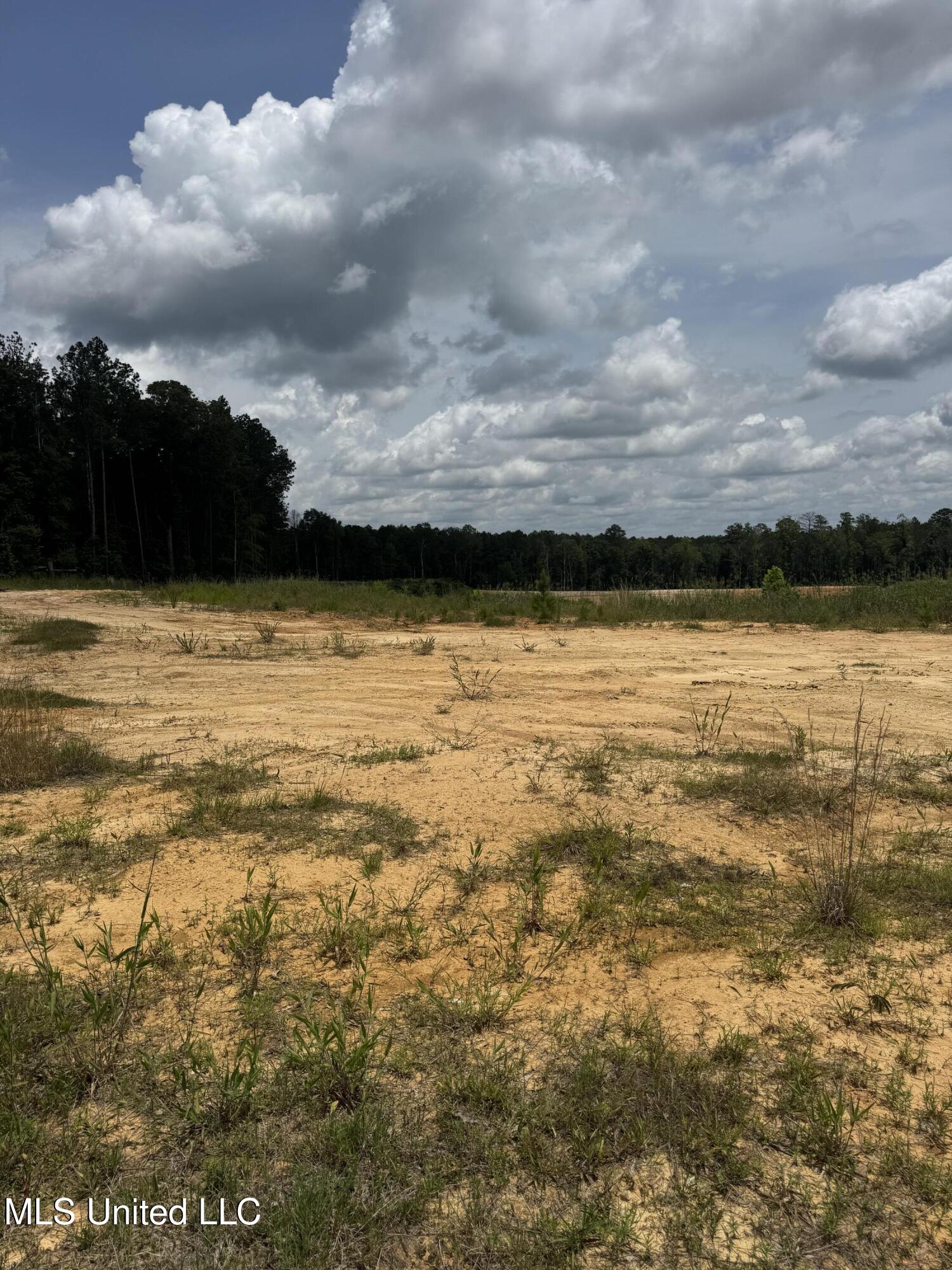 Wire Road, Pelahatchie, Mississippi image 1