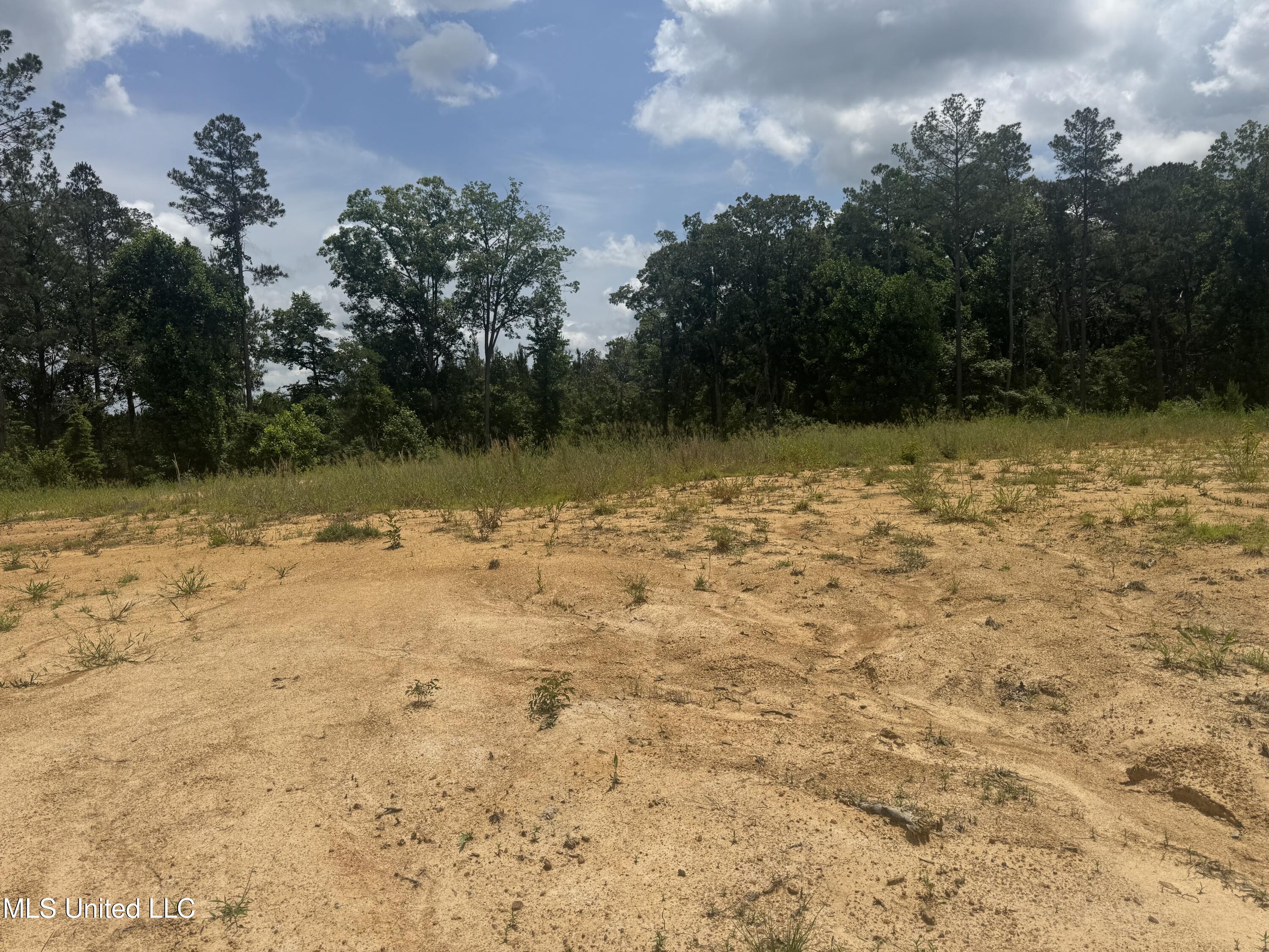 Wire Road, Pelahatchie, Mississippi image 2