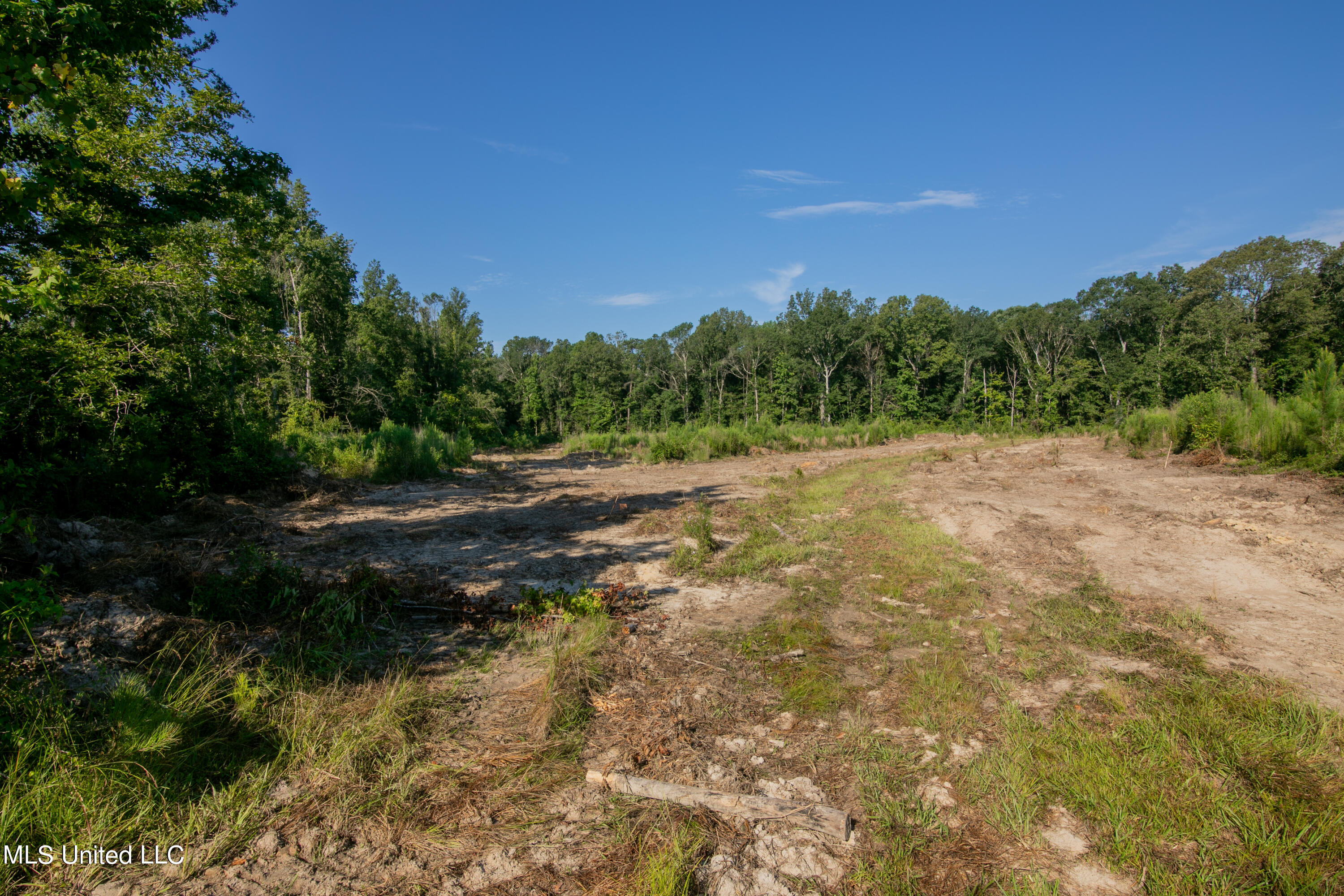 S Hwy 43, Pelahatchie, Mississippi image 12