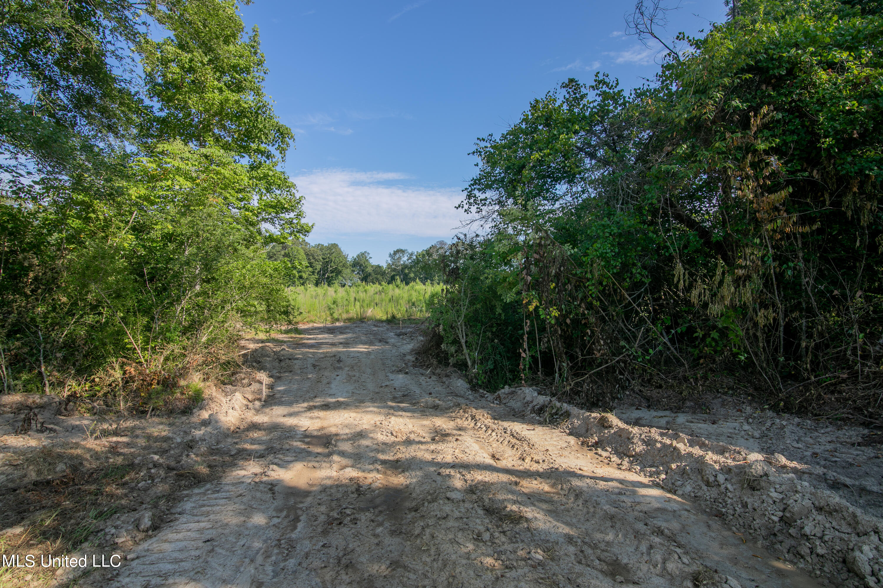 S Hwy 43, Pelahatchie, Mississippi image 14