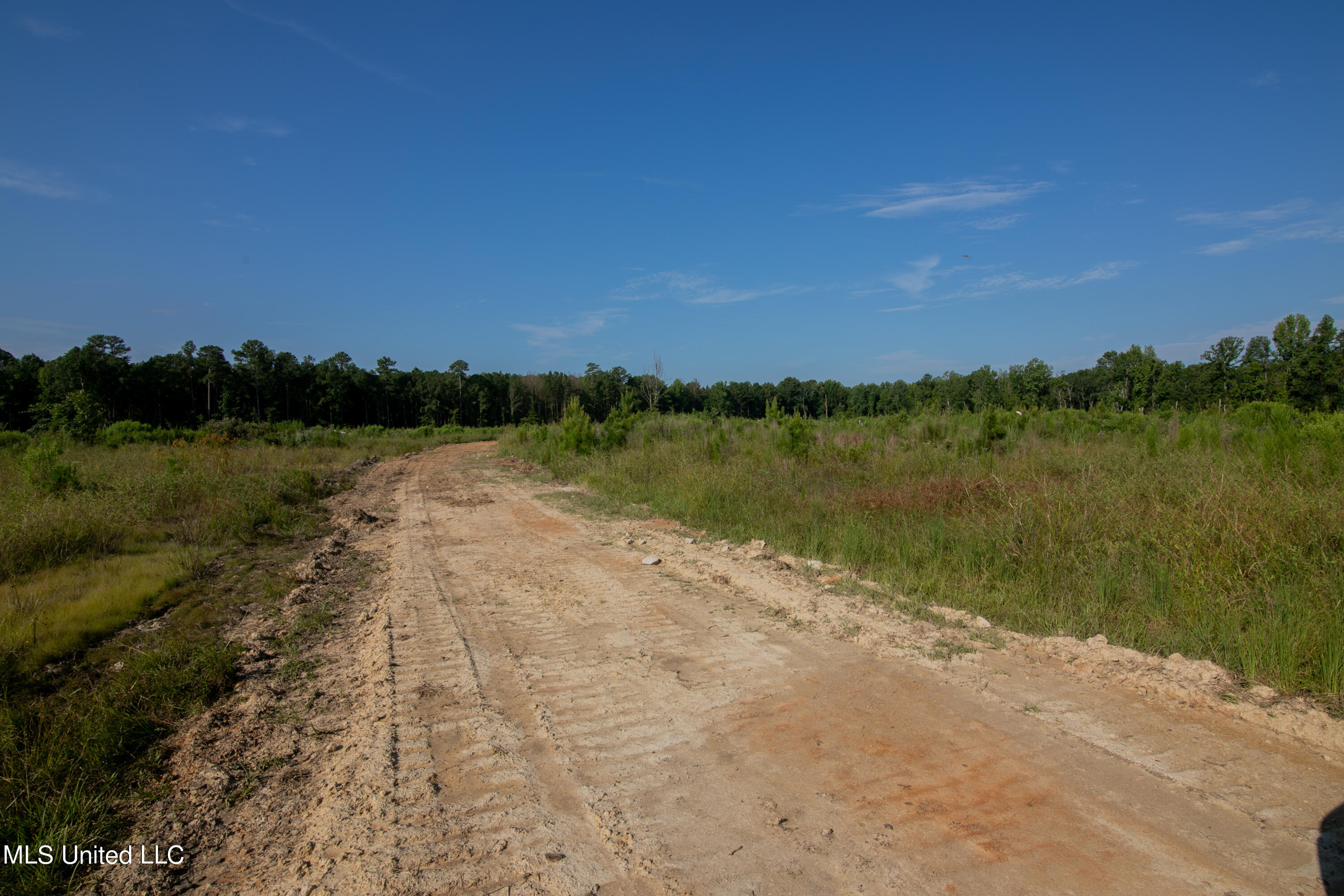 S Hwy 43, Pelahatchie, Mississippi image 17