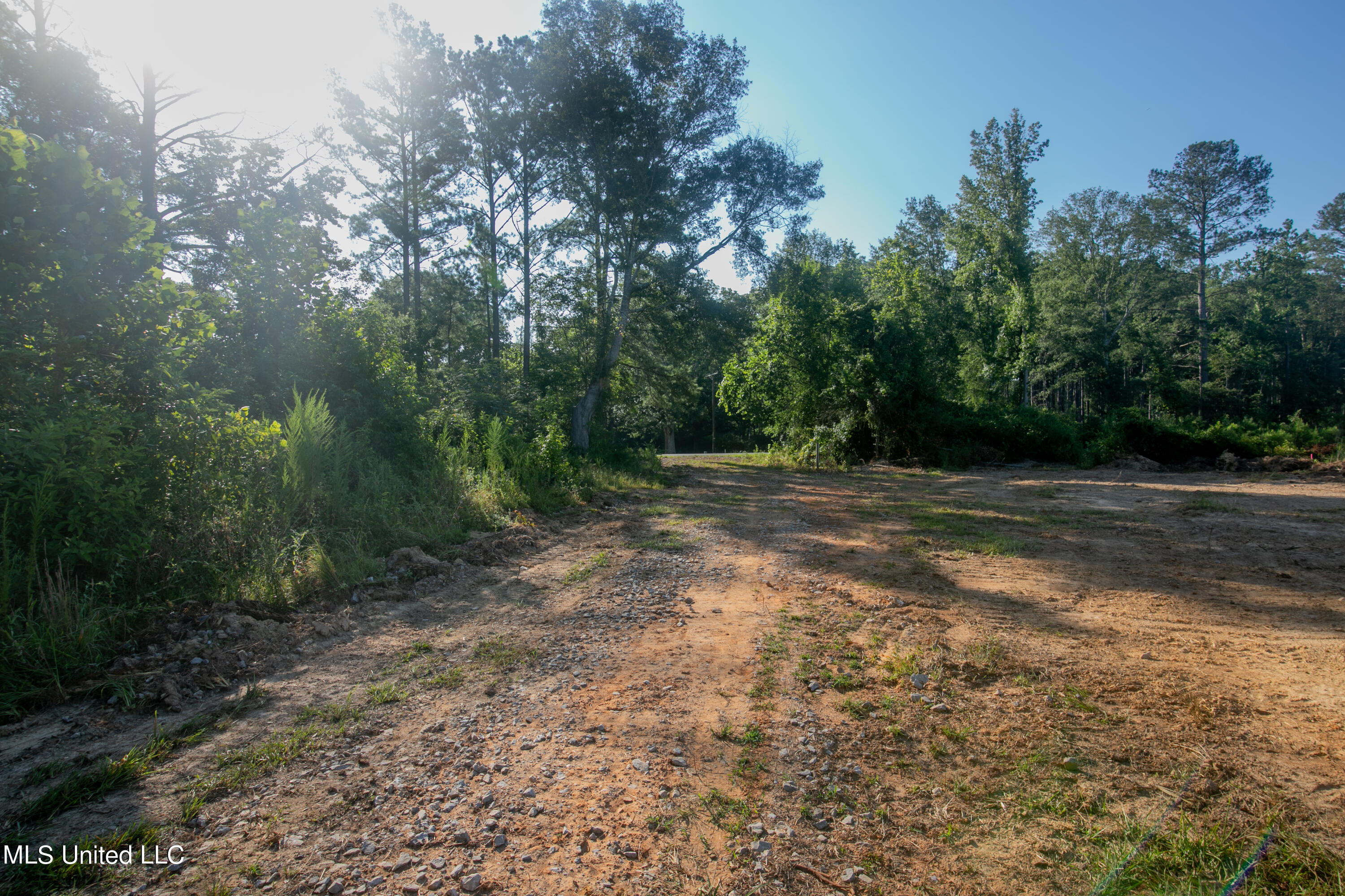 S Hwy 43, Pelahatchie, Mississippi image 31