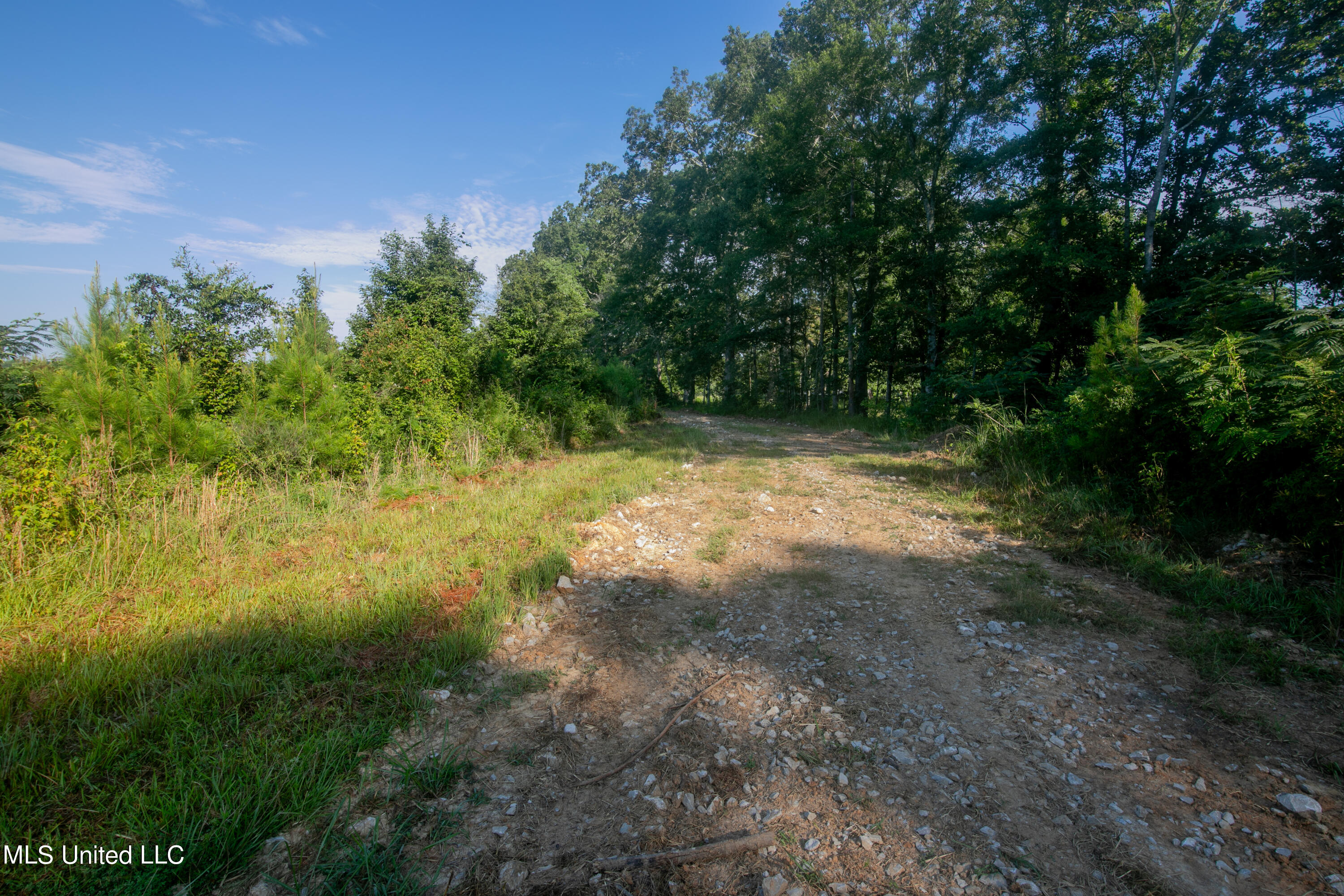 S Hwy 43, Pelahatchie, Mississippi image 32