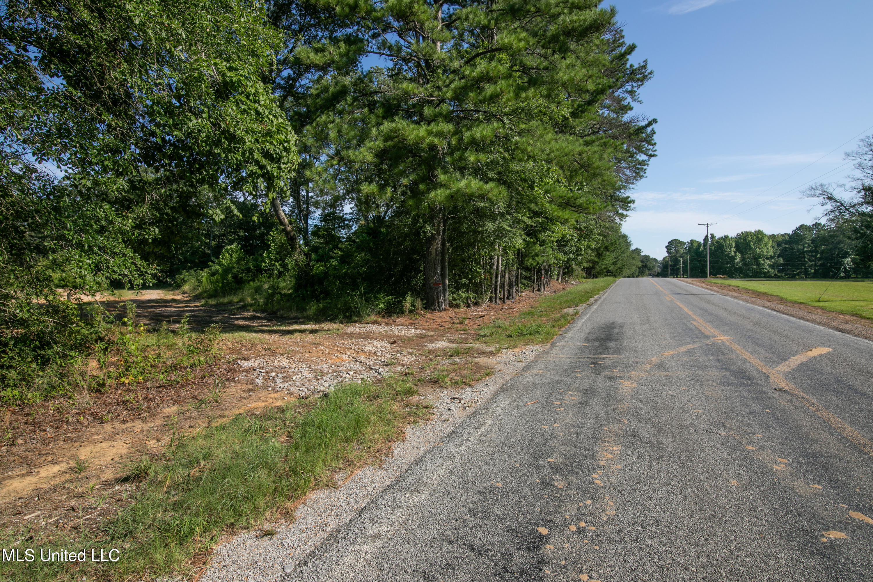 S Hwy 43, Pelahatchie, Mississippi image 1