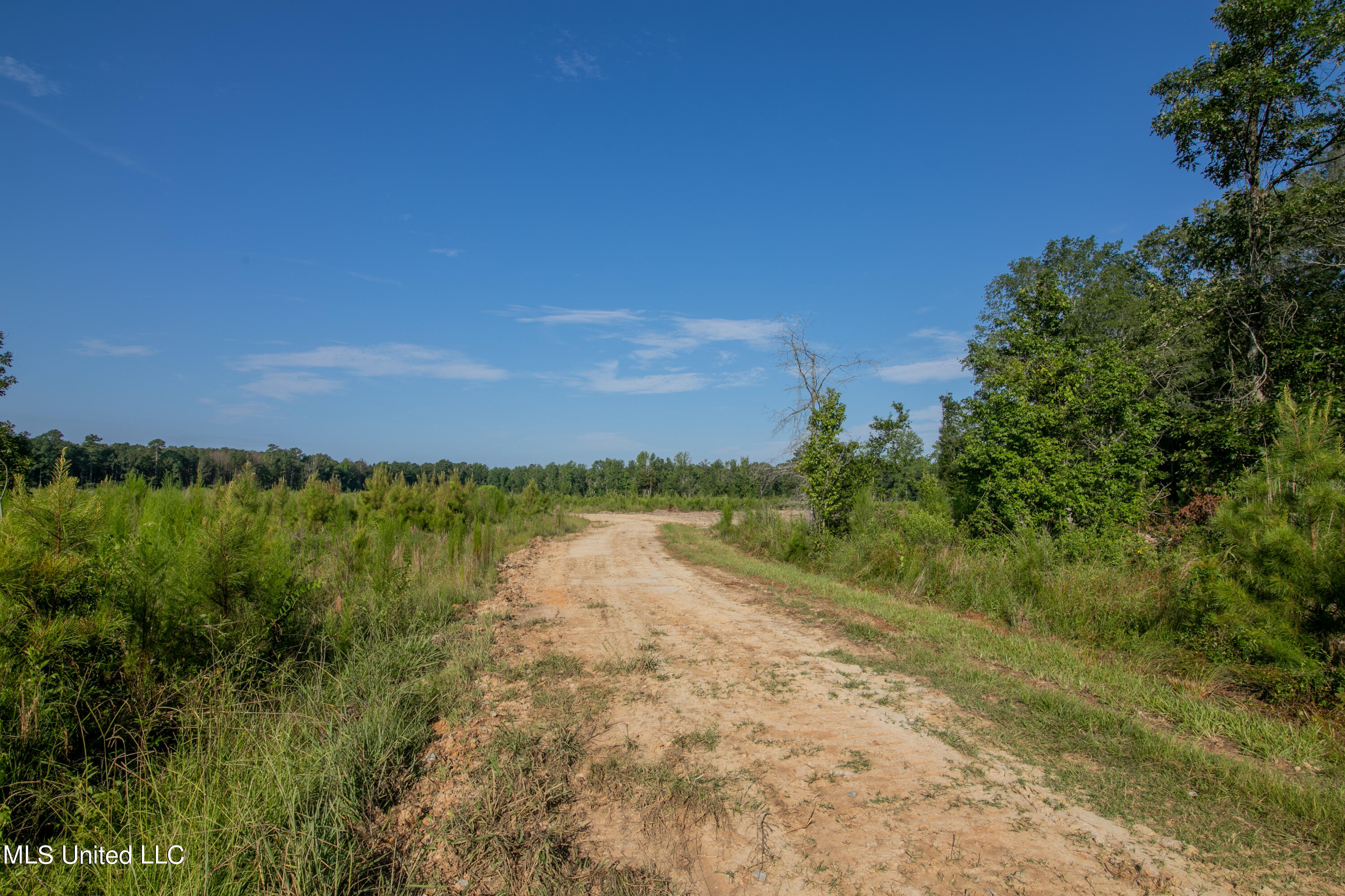 S Hwy 43, Pelahatchie, Mississippi image 28