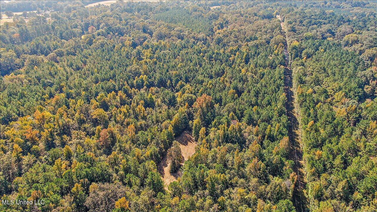 000 Cleary Road, Florence, Mississippi image 9