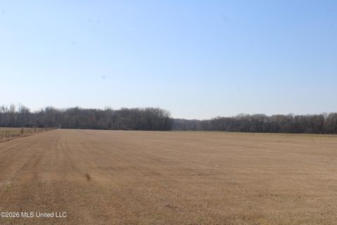 Vacant Land For Sale - 1815 Craft Road<br/> Olive Branch, MS 38654