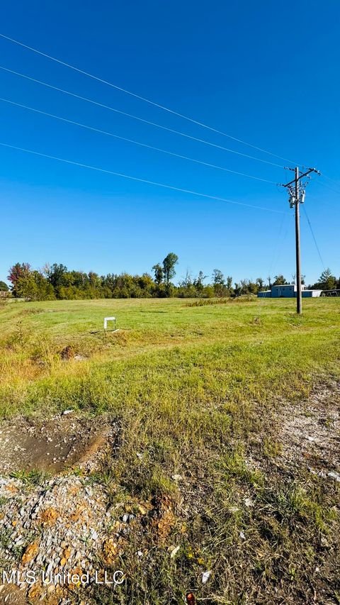Vacant Land For Sale - 7072 E Bethel Road<br/> Olive Branch, MS 38654