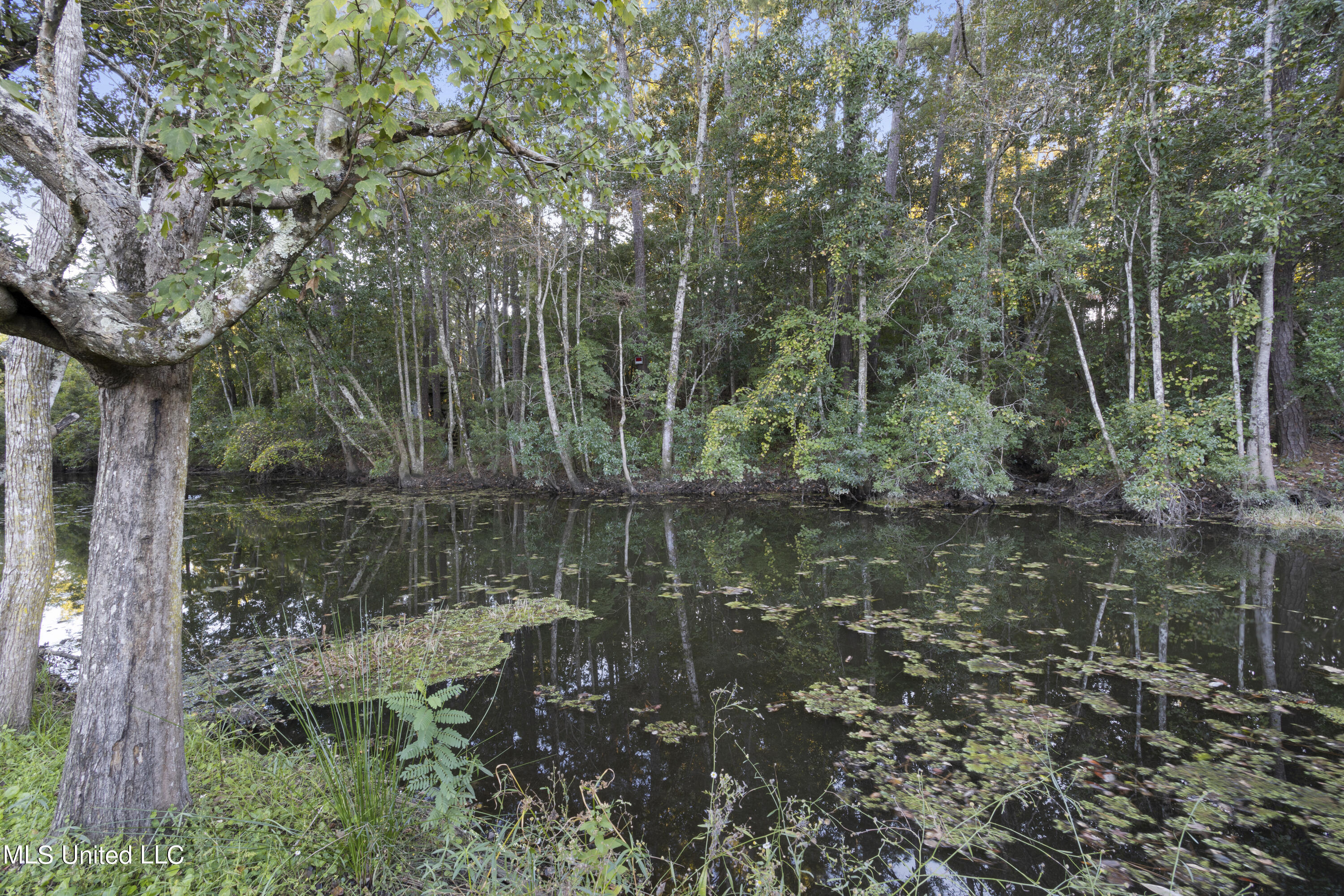 1917 Shady Point Circle, Gautier, Mississippi image 9