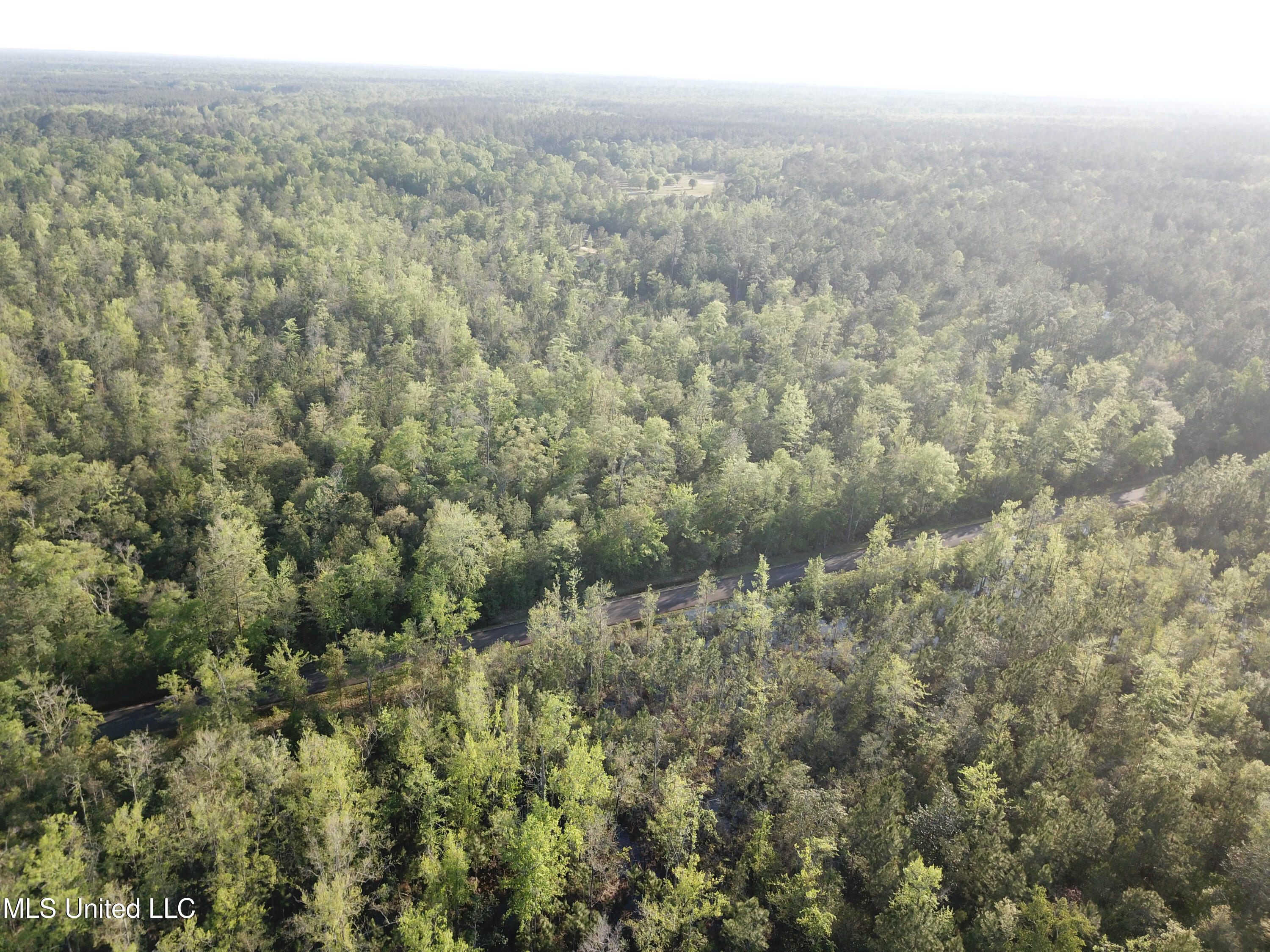 Walter Havard Road, Lucedale, Mississippi image 2