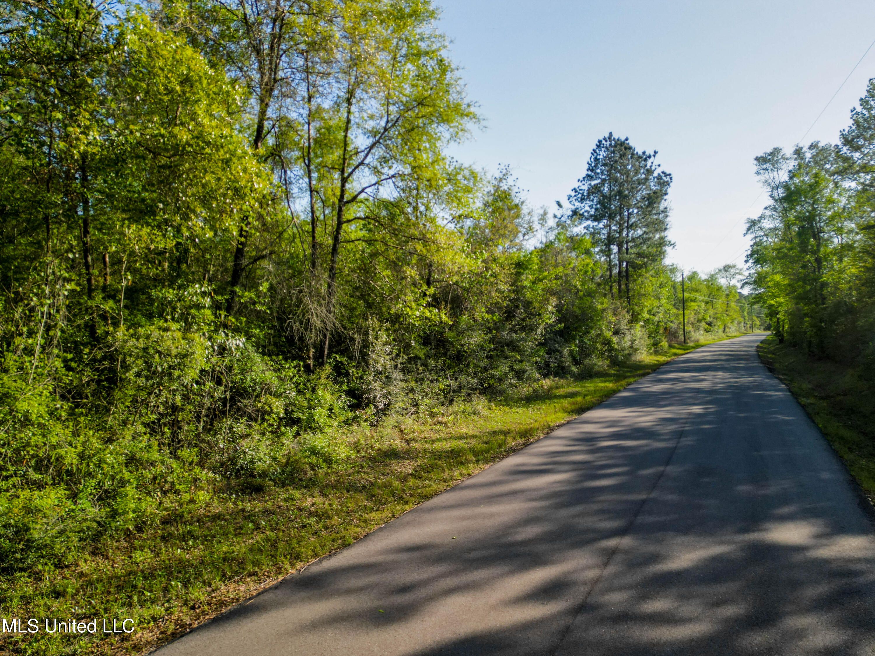 Walter Havard Road, Lucedale, Mississippi image 1
