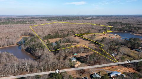 Vacant Land For Sale - 12233 Ms-35<br/> Forest, MS 39074