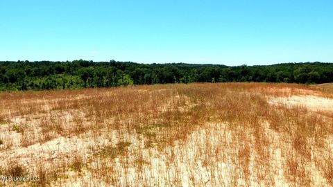 Vacant Land For Sale - 103 Hugh White State Park Road<br/> Grenada, MS 38901