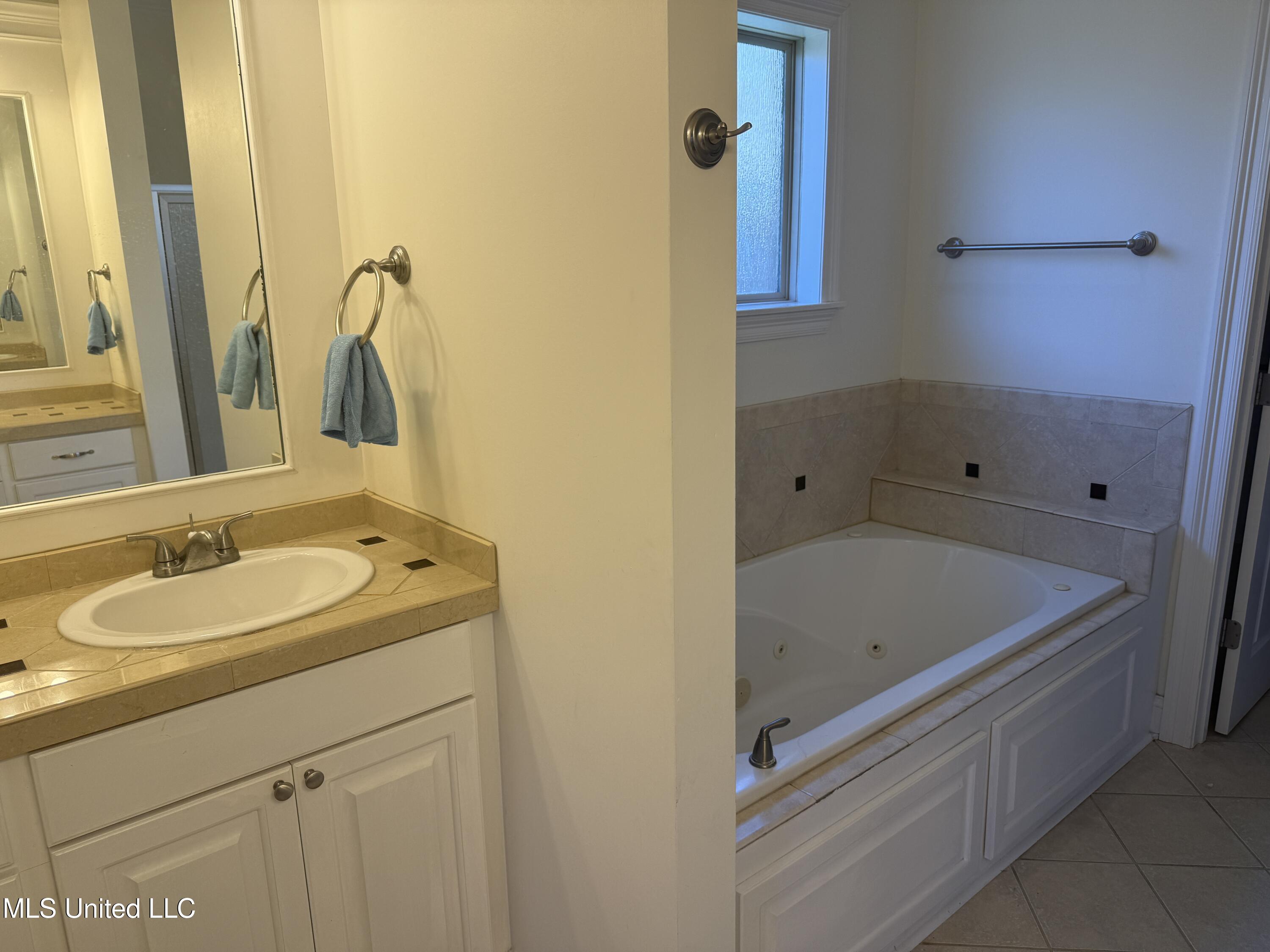 341 Austin Circle, Brandon, Mississippi image 4
