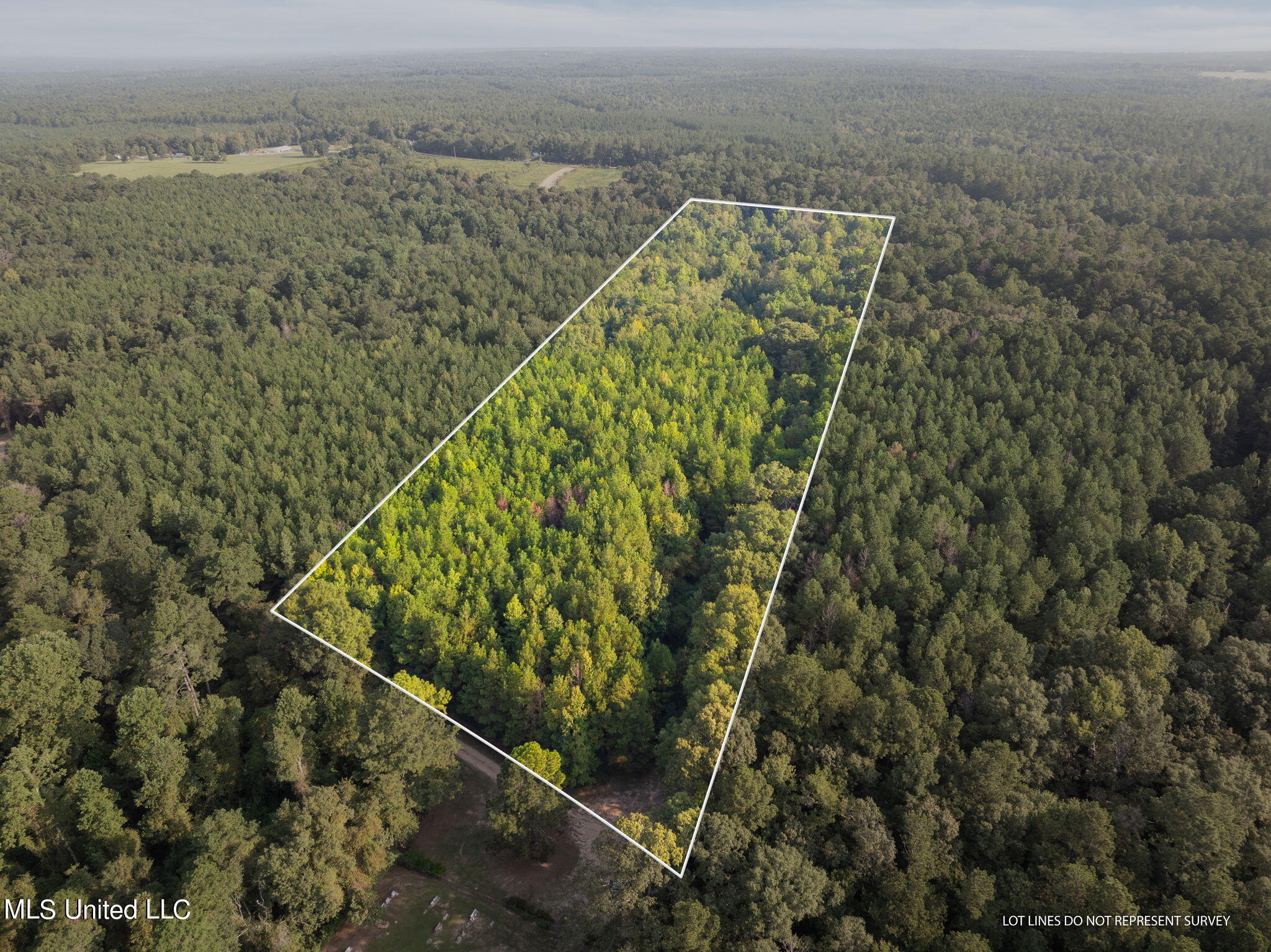 13.6 +/- Acres Crosby Road, Seminary, Mississippi image 1