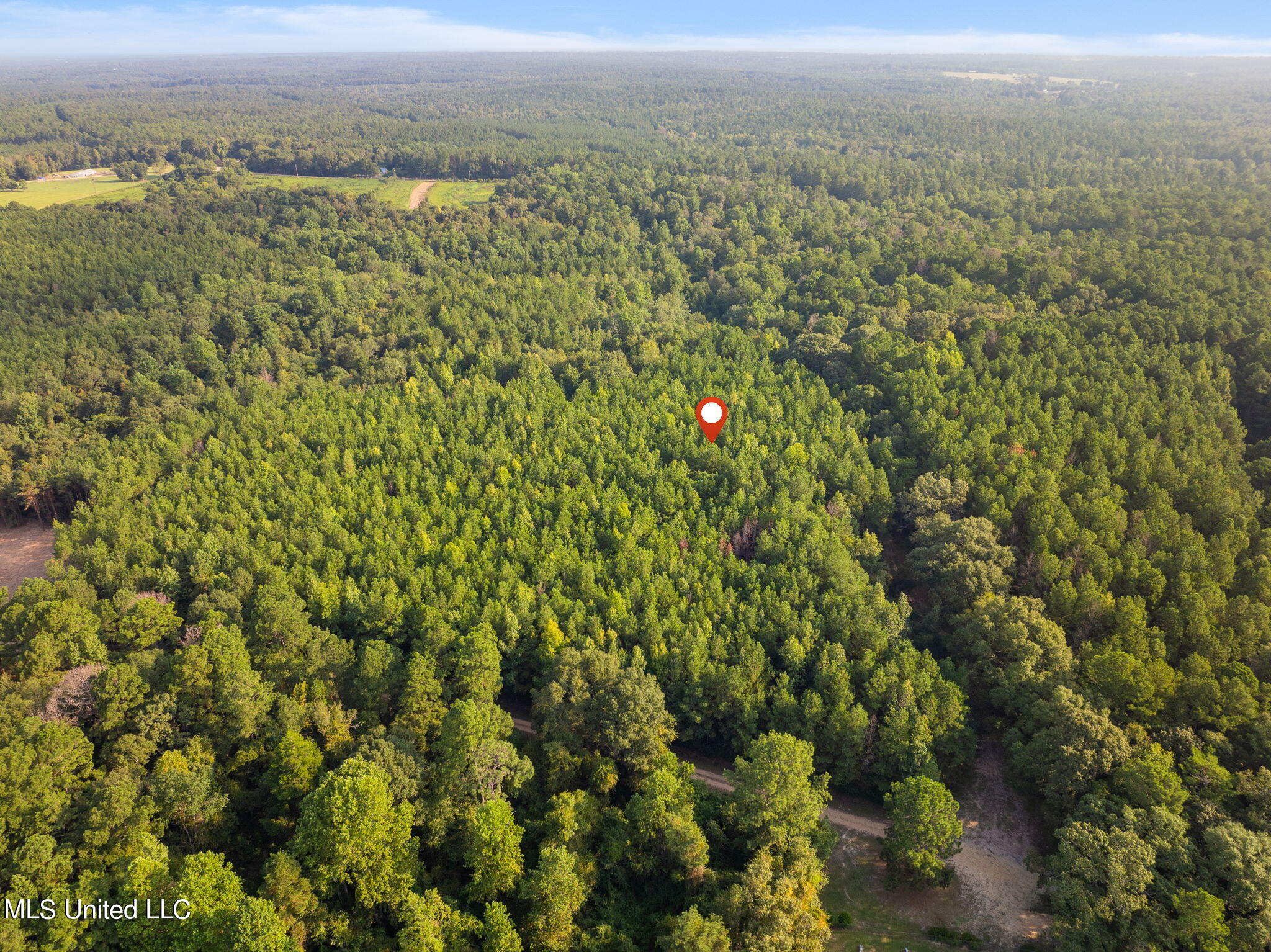 13.6 +/- Acres Crosby Road, Seminary, Mississippi image 16