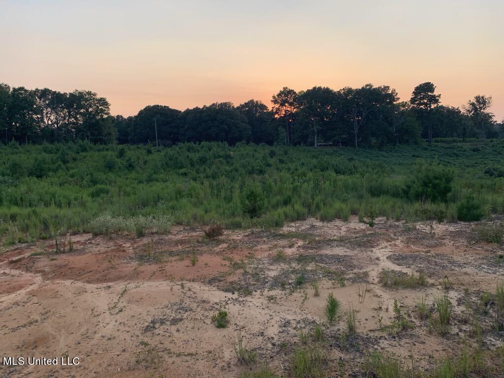 Layton Jones Rd, Mendenhall, Mississippi image 3