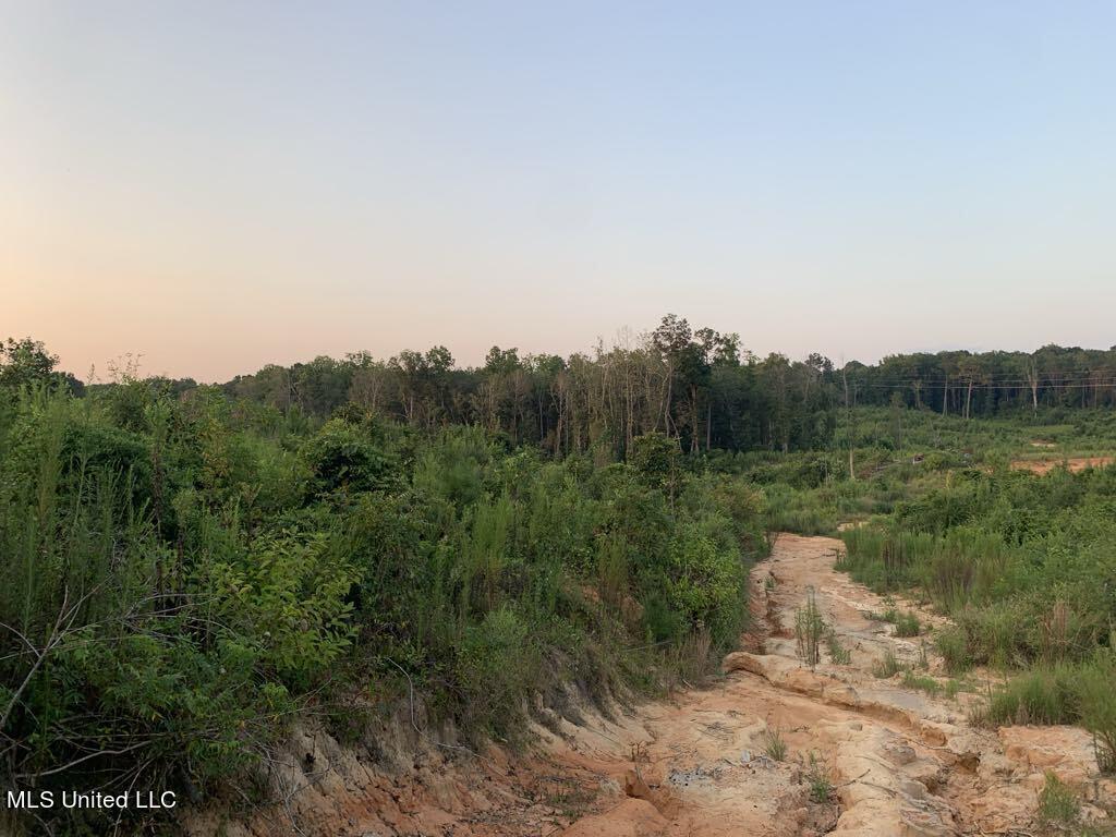 Layton Jones Rd, Mendenhall, Mississippi image 9