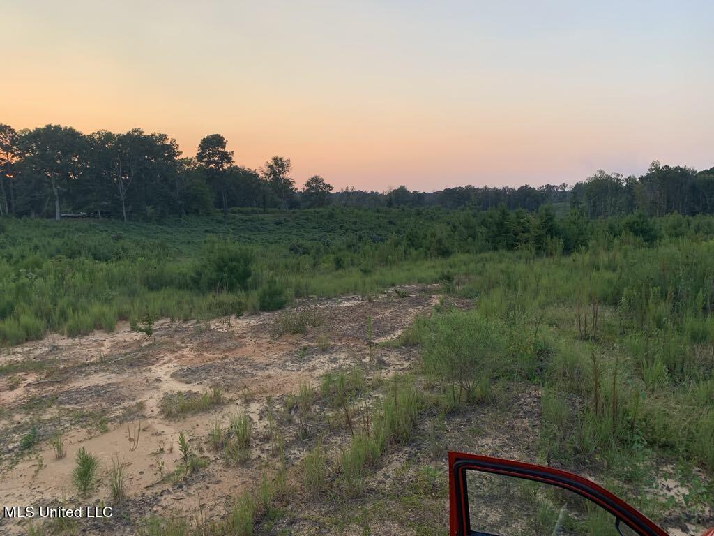 Layton Jones Rd, Mendenhall, Mississippi image 2