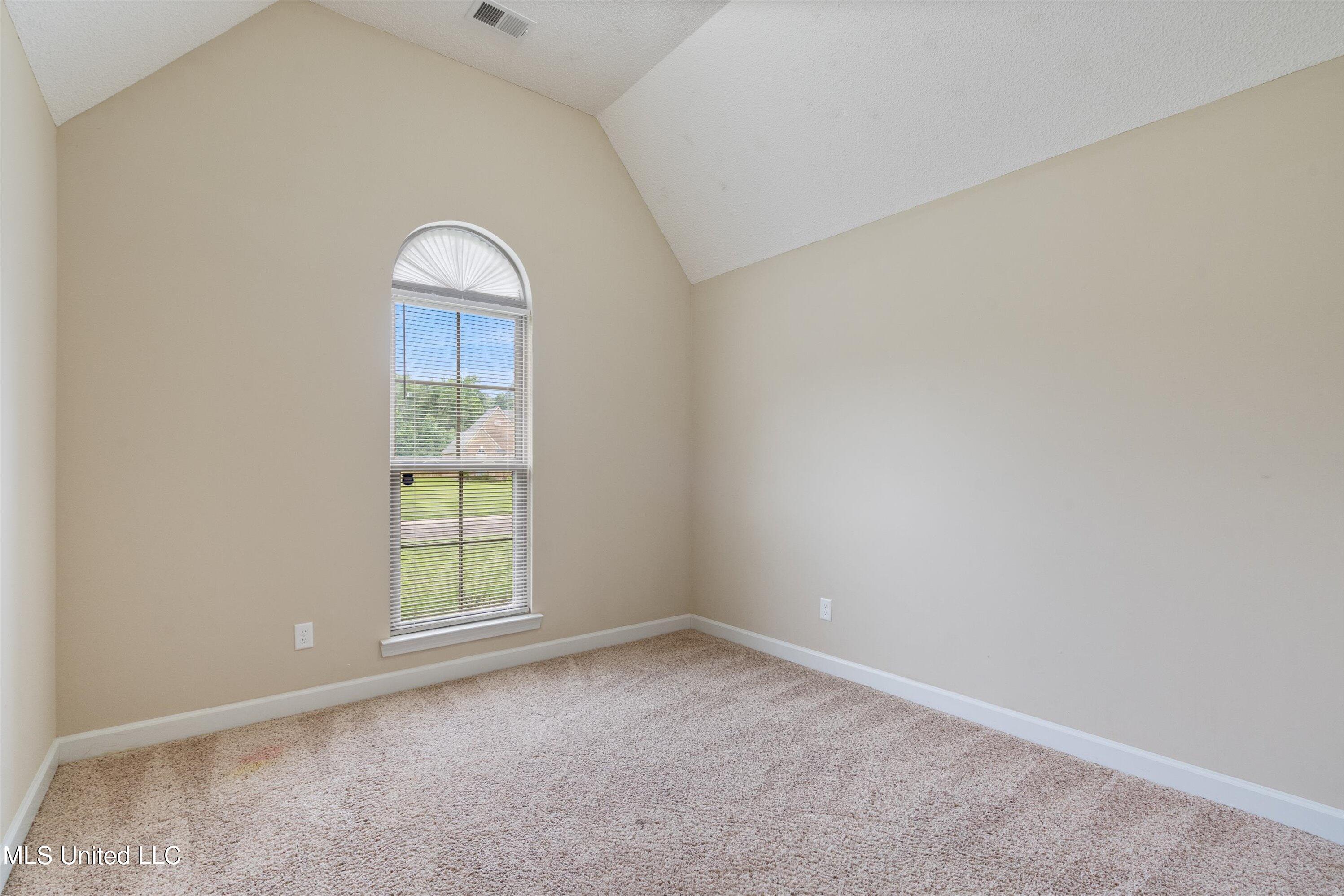 6484 Anna May Drive, Walls, Mississippi image 14