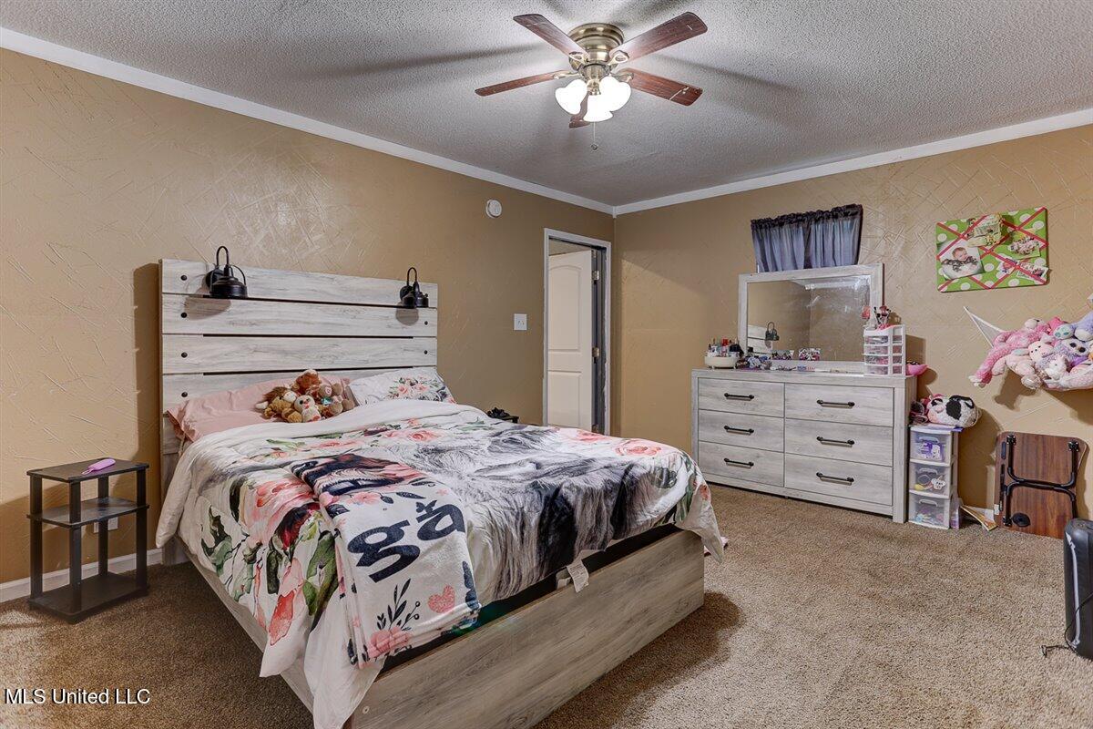14071 Burton Road, Olive Branch, Mississippi image 29