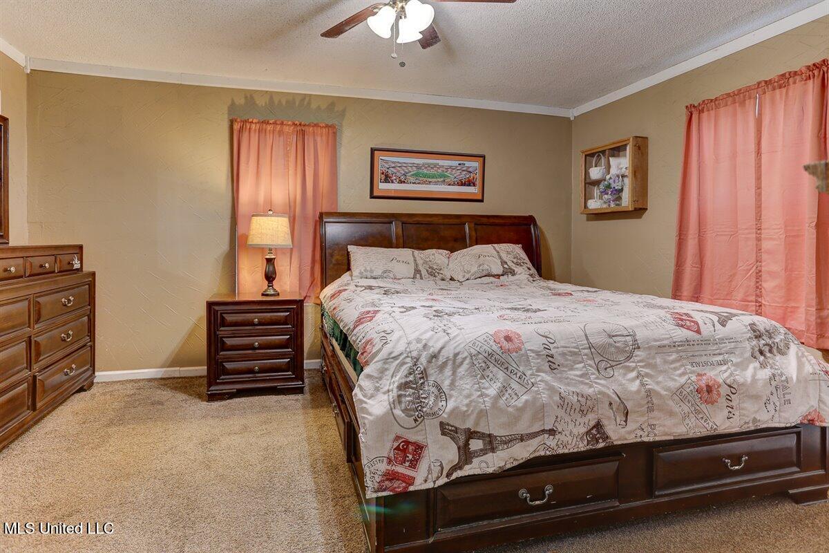14071 Burton Road, Olive Branch, Mississippi image 22