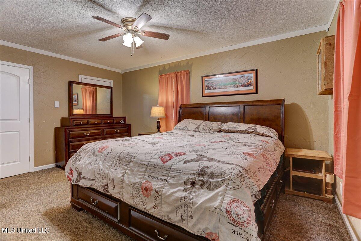 14071 Burton Road, Olive Branch, Mississippi image 23