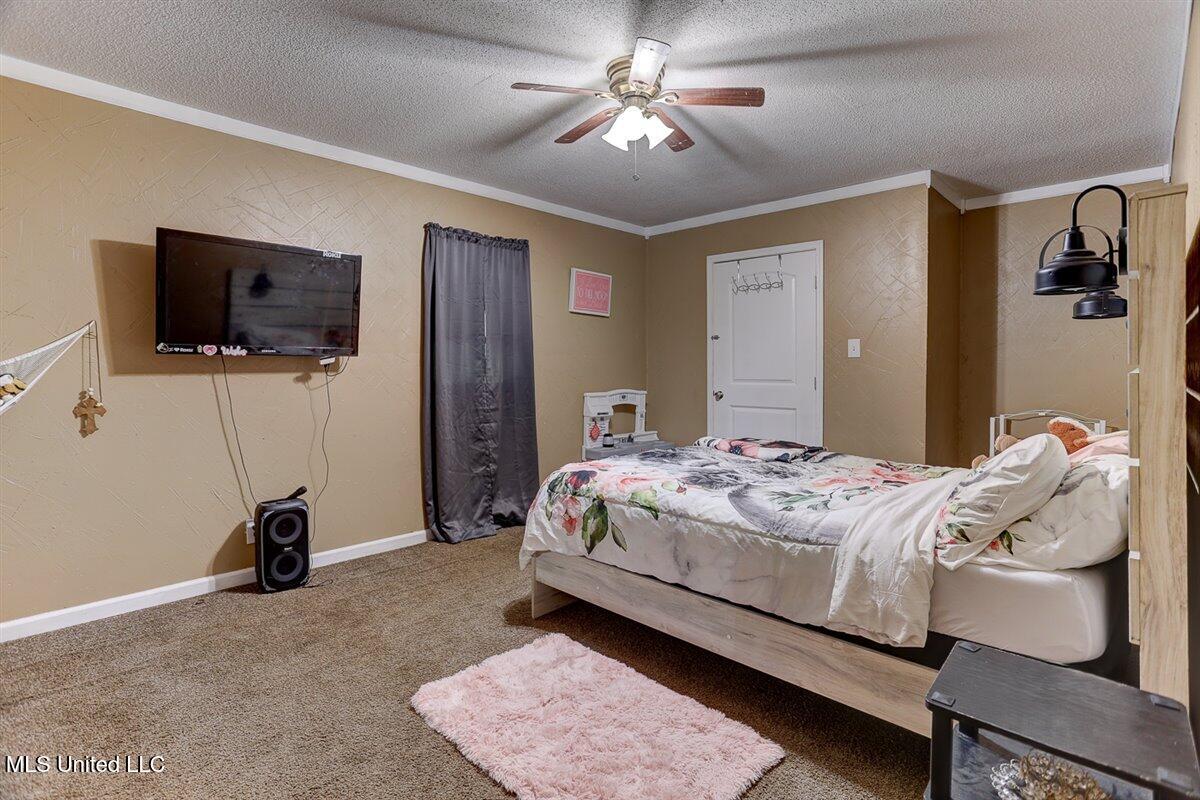 14071 Burton Road, Olive Branch, Mississippi image 28
