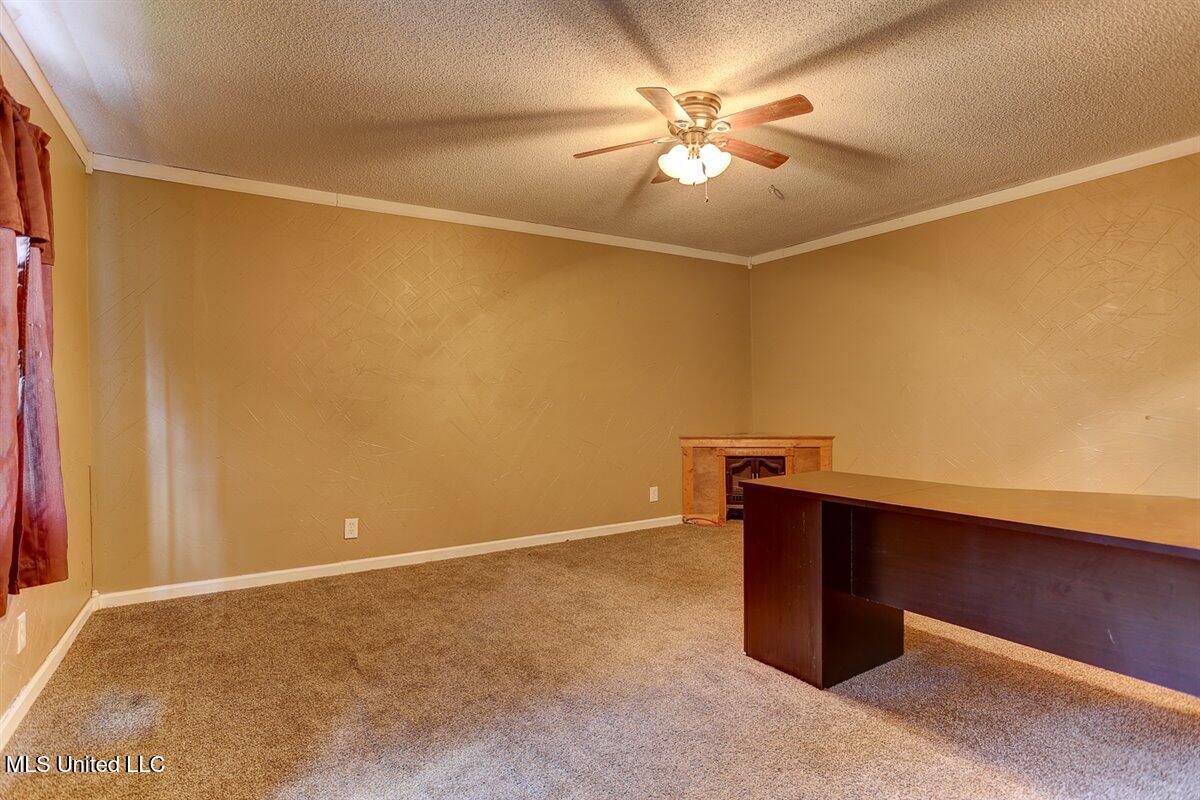 14071 Burton Road, Olive Branch, Mississippi image 32