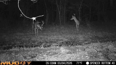 Vacant Land For Sale - Bogue Chitto Road<br/> Bogue Chitto, MS 39629