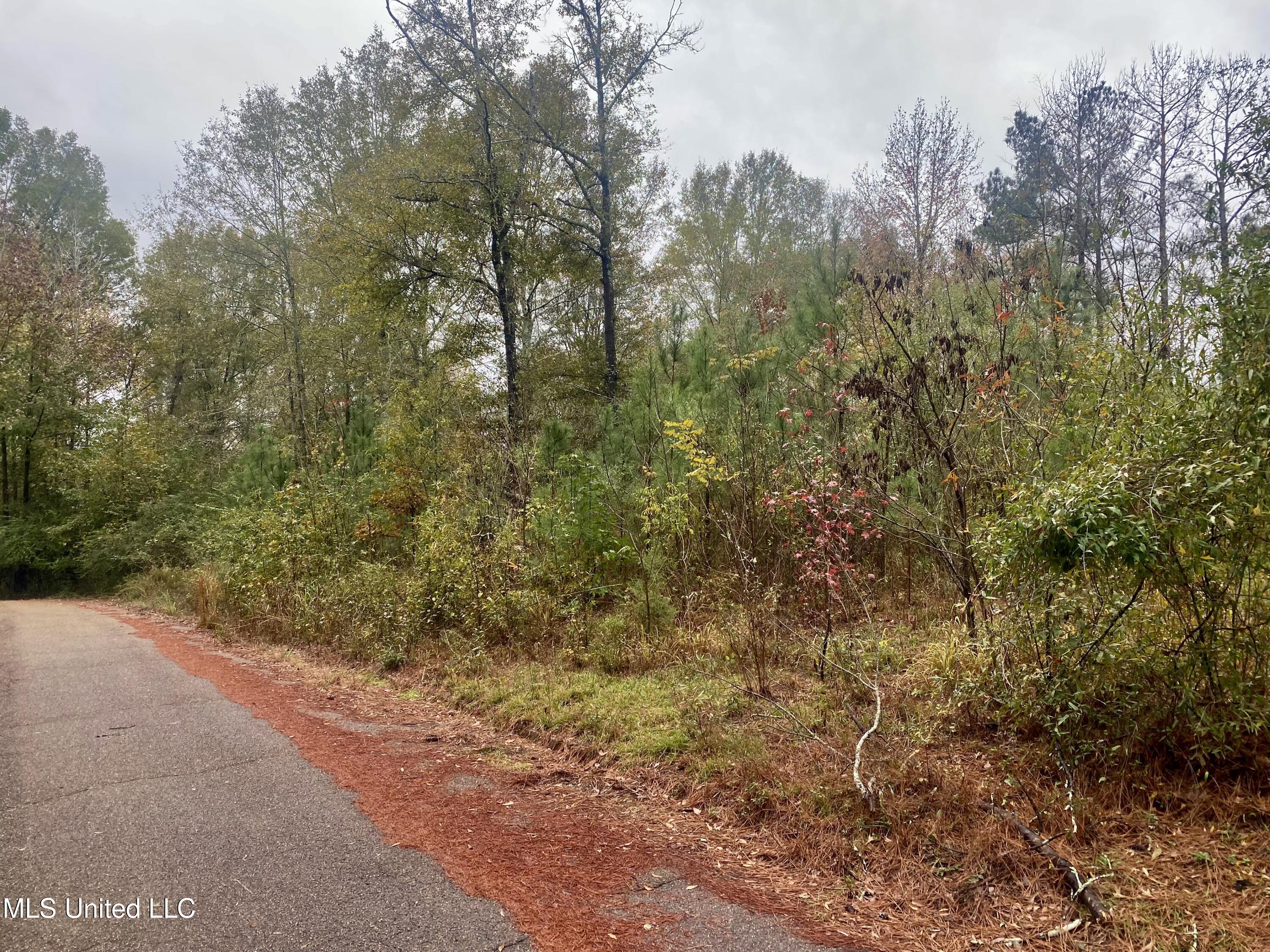 Hazlewood Circle, Hazlehurst, Mississippi image 8