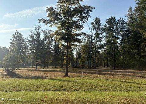 Vacant Land For Sale - 00 Shire Avenue<br/> Forest, MS 39074