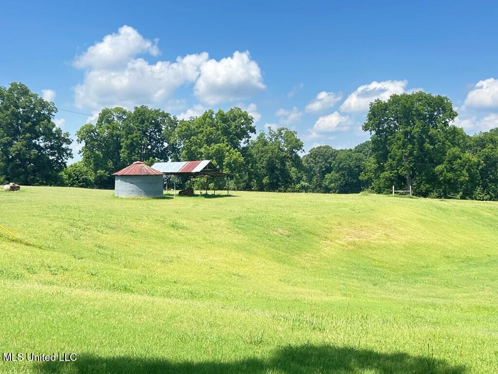 1273 61, Natchez, Mississippi image 38