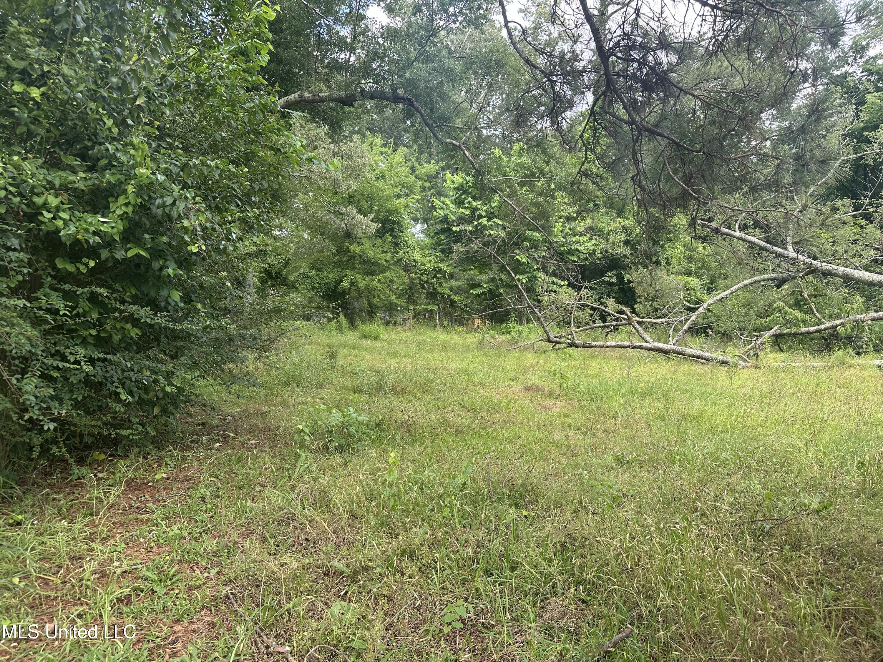 3764 Camilla Drive, Jackson, Mississippi image 16